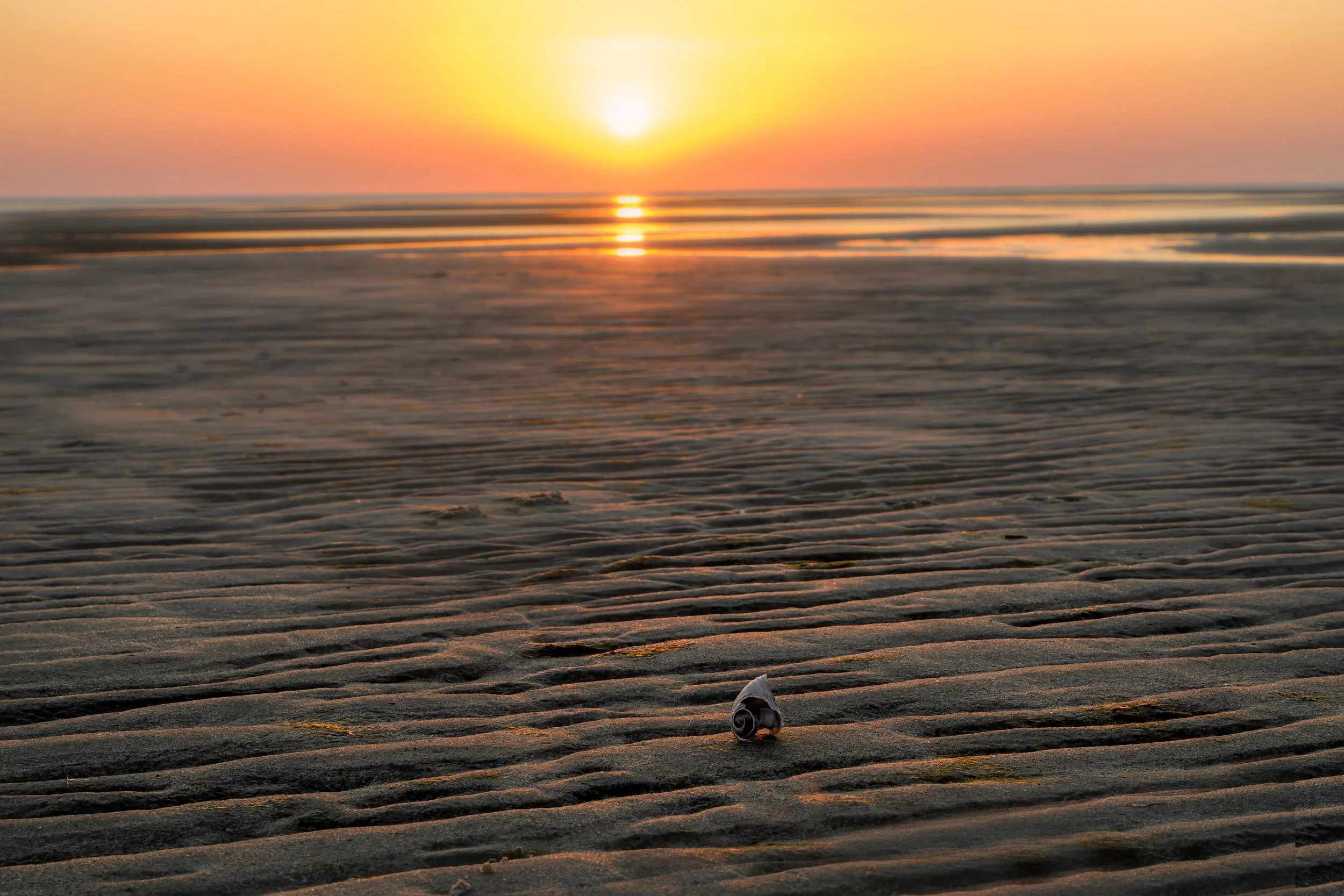 Sunset ~ First Encounter Beach
