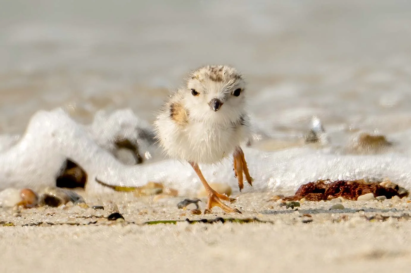 RUN RUN RUN