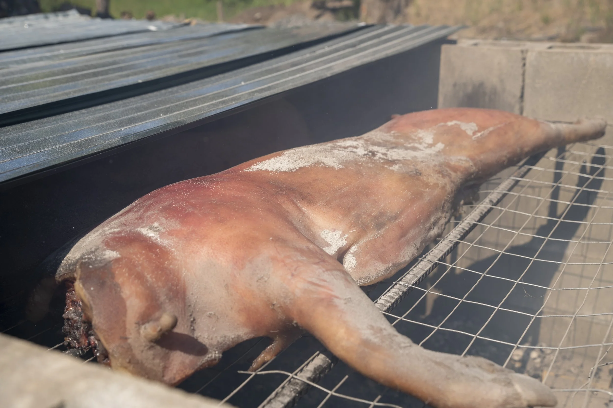 Lacey Green Photography