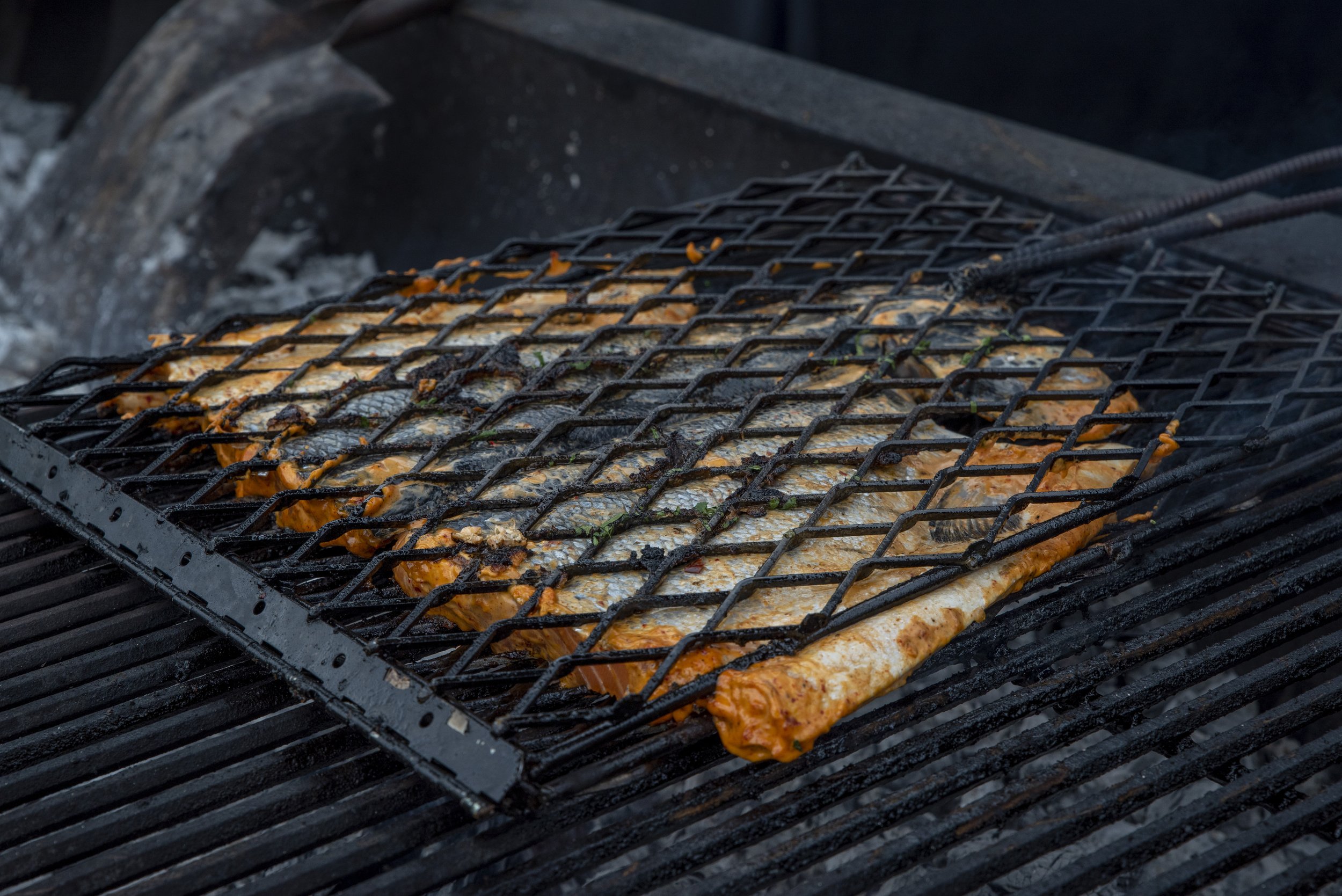 Lacey Green Photography