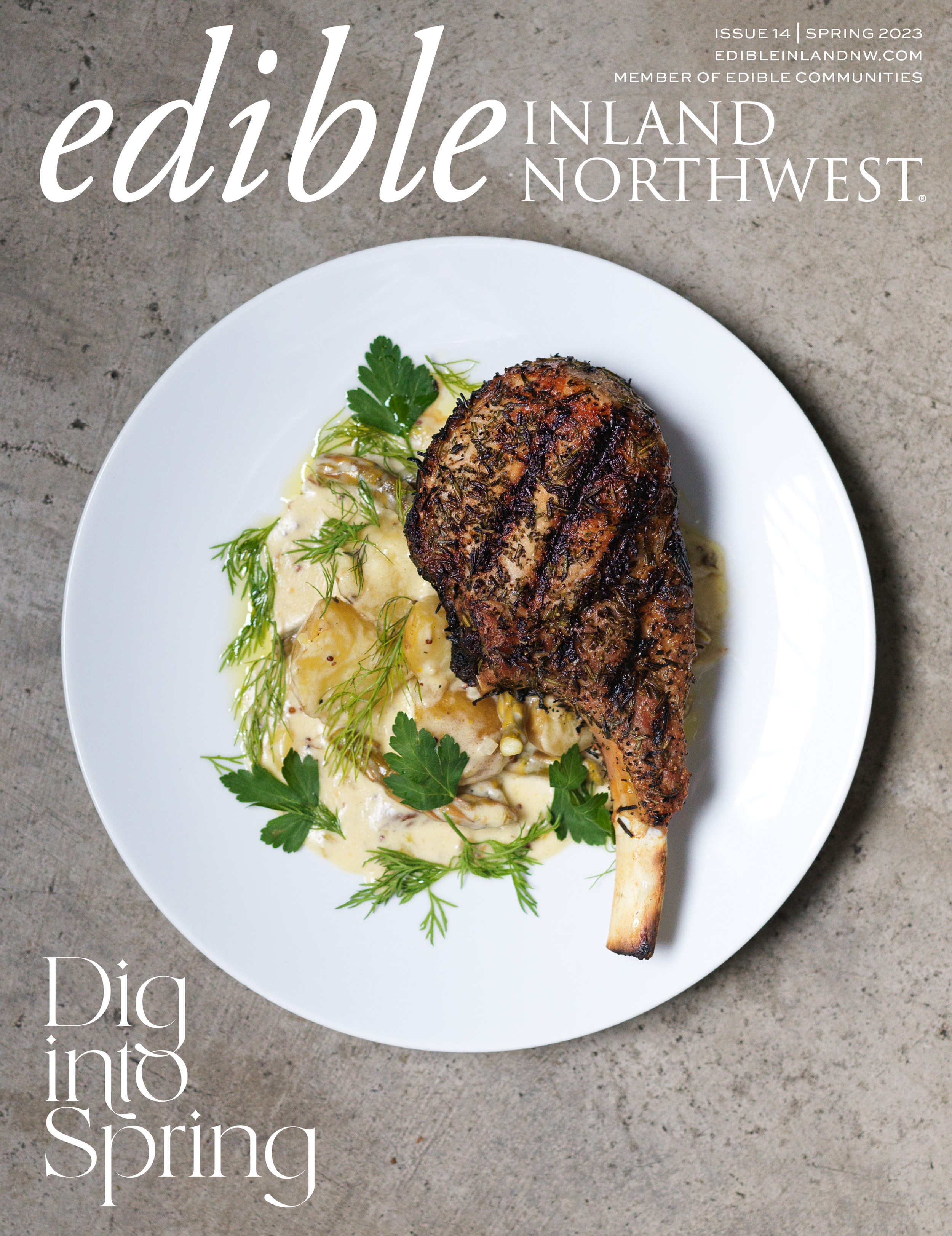 Spring23Cover.png