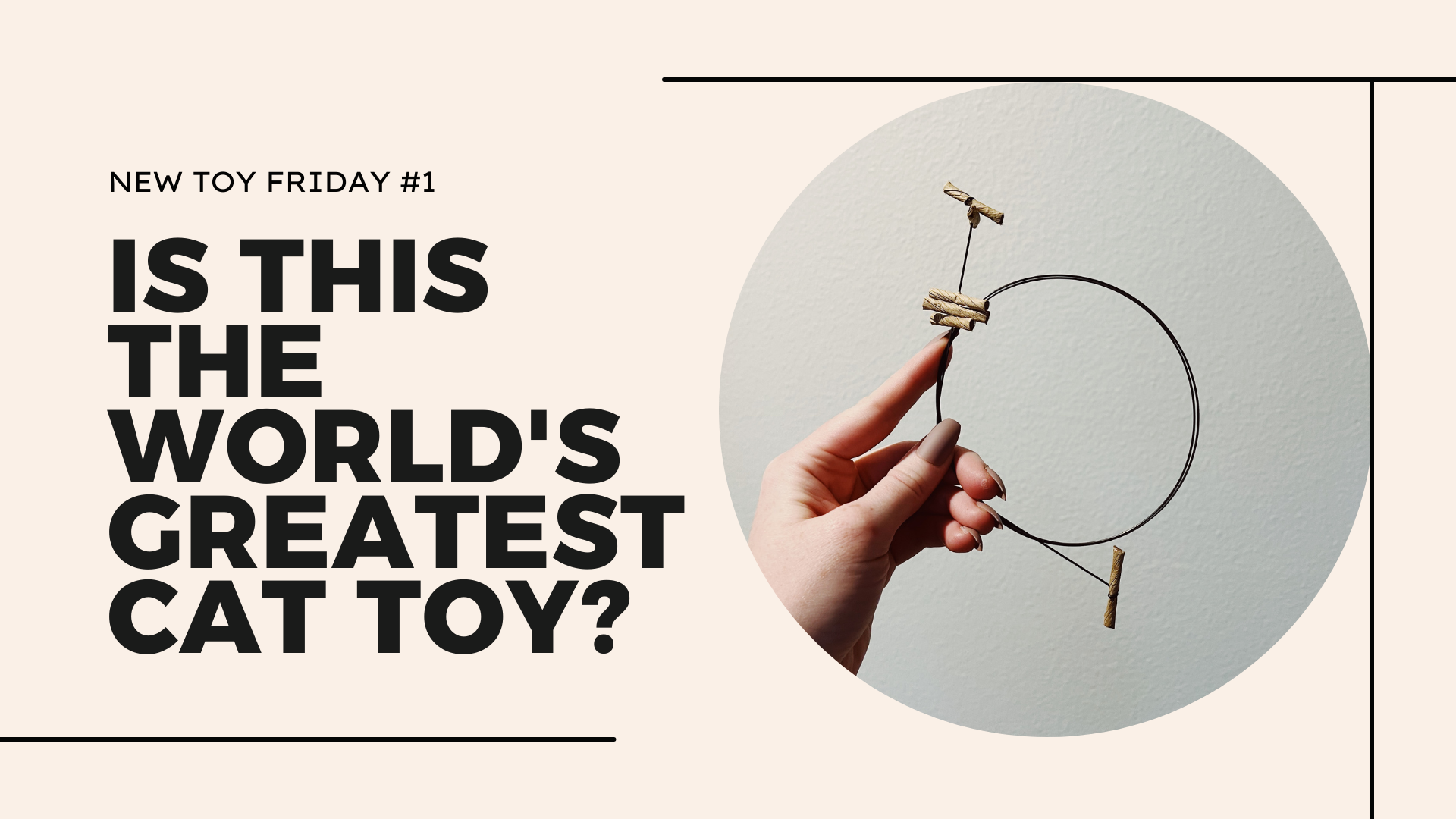 New Toy Friday #1 - The World’s Best Budget Cat Toy: THE CAT DANCER
