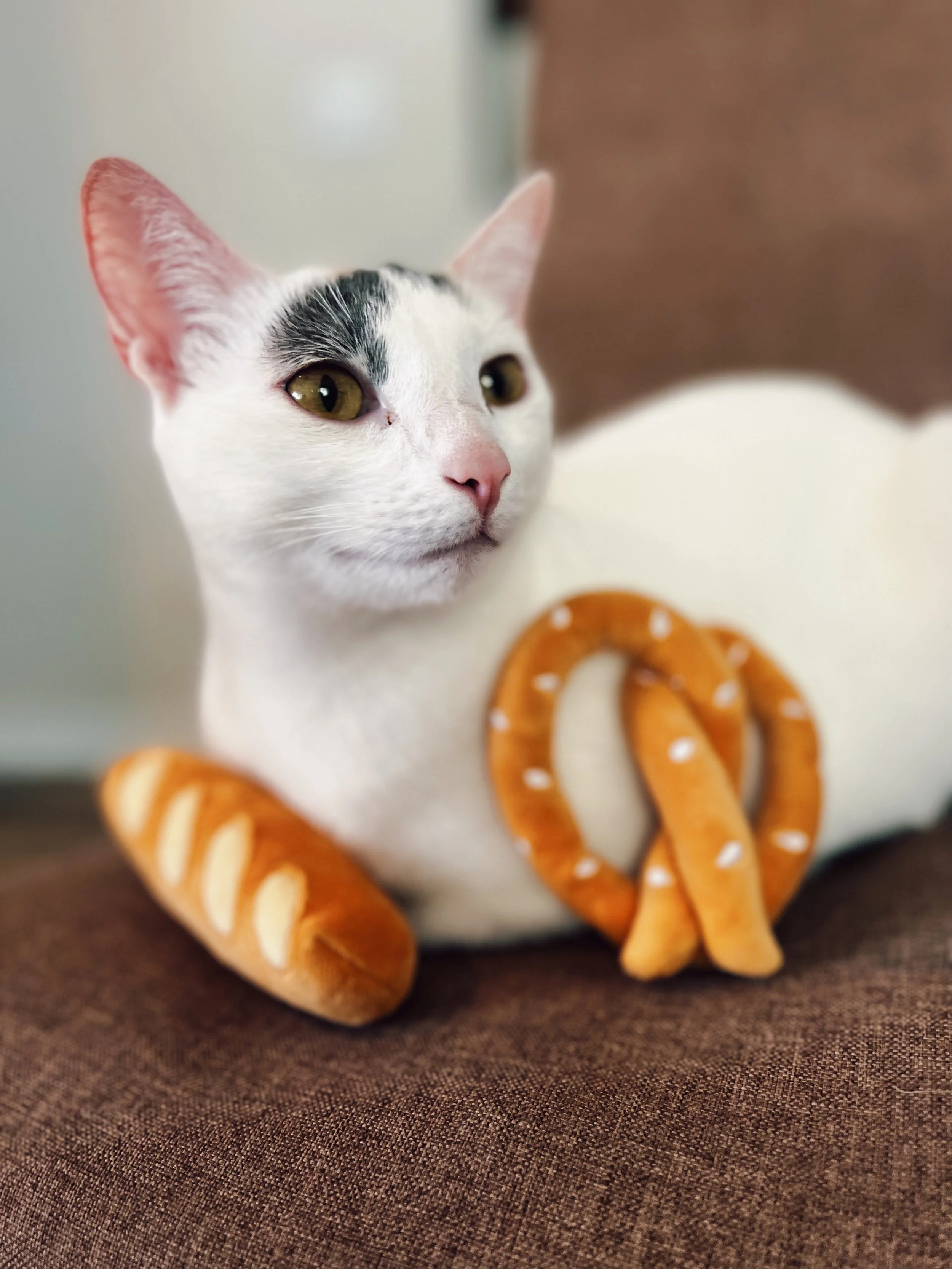 FullSizeRender 14.jpg