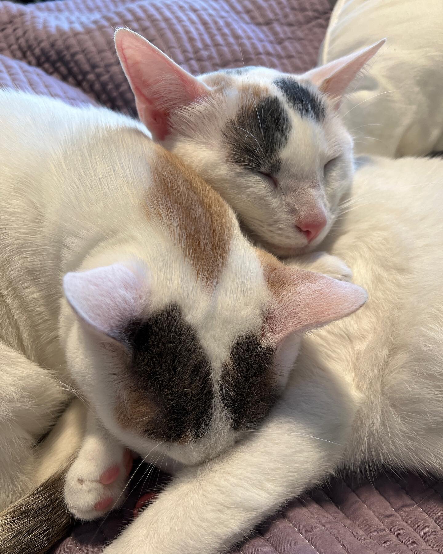 The sweetest mother-daughter duo ❤️