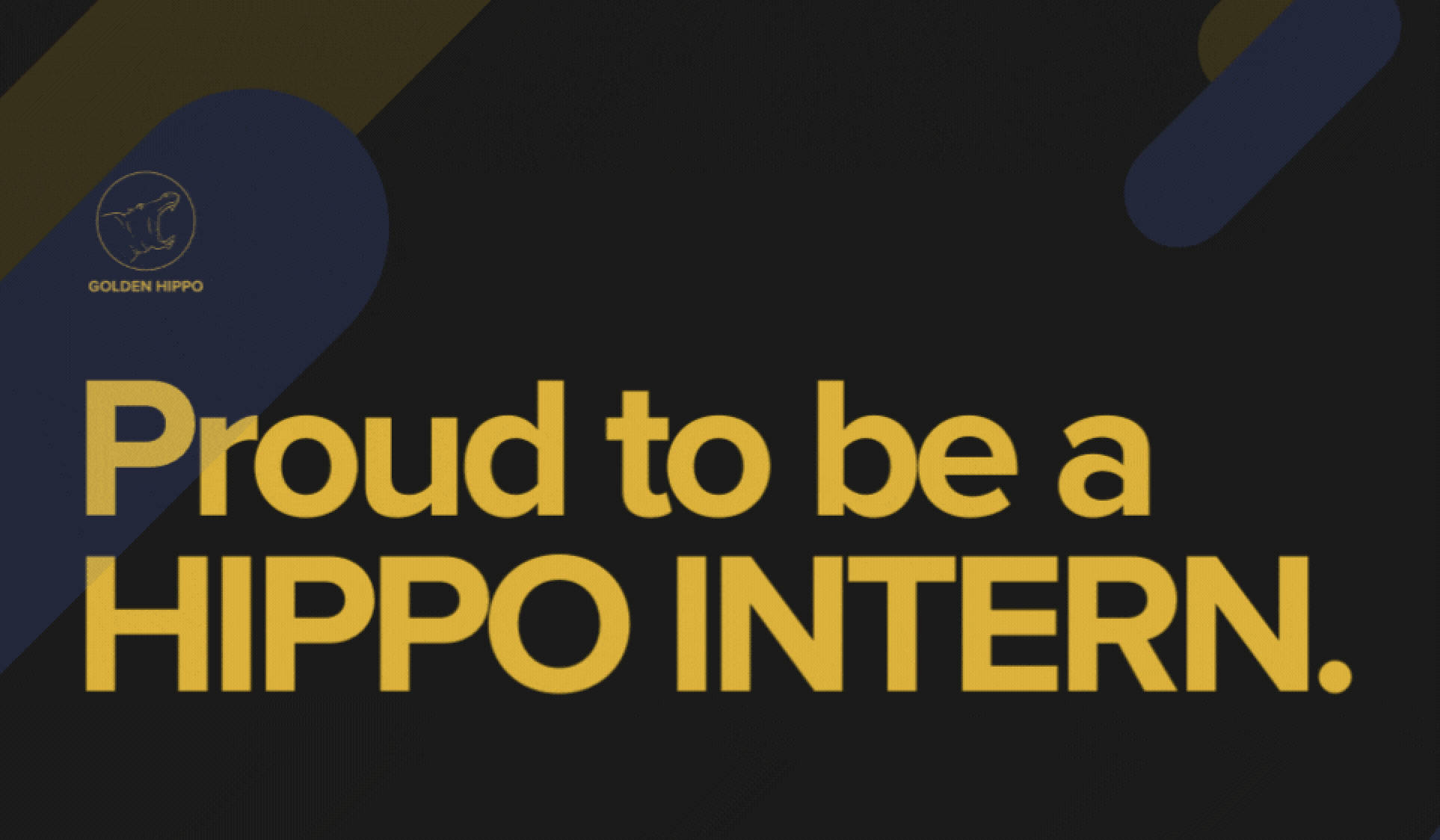 My Experience as a Golden Hippo Intern