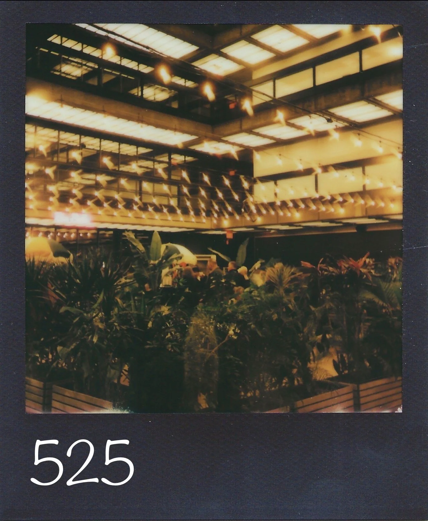 525a.jpg