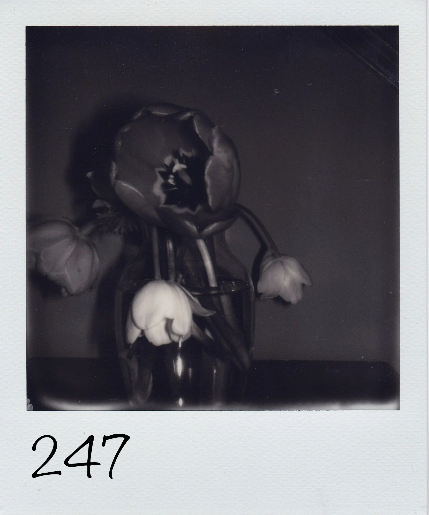 247.jpg