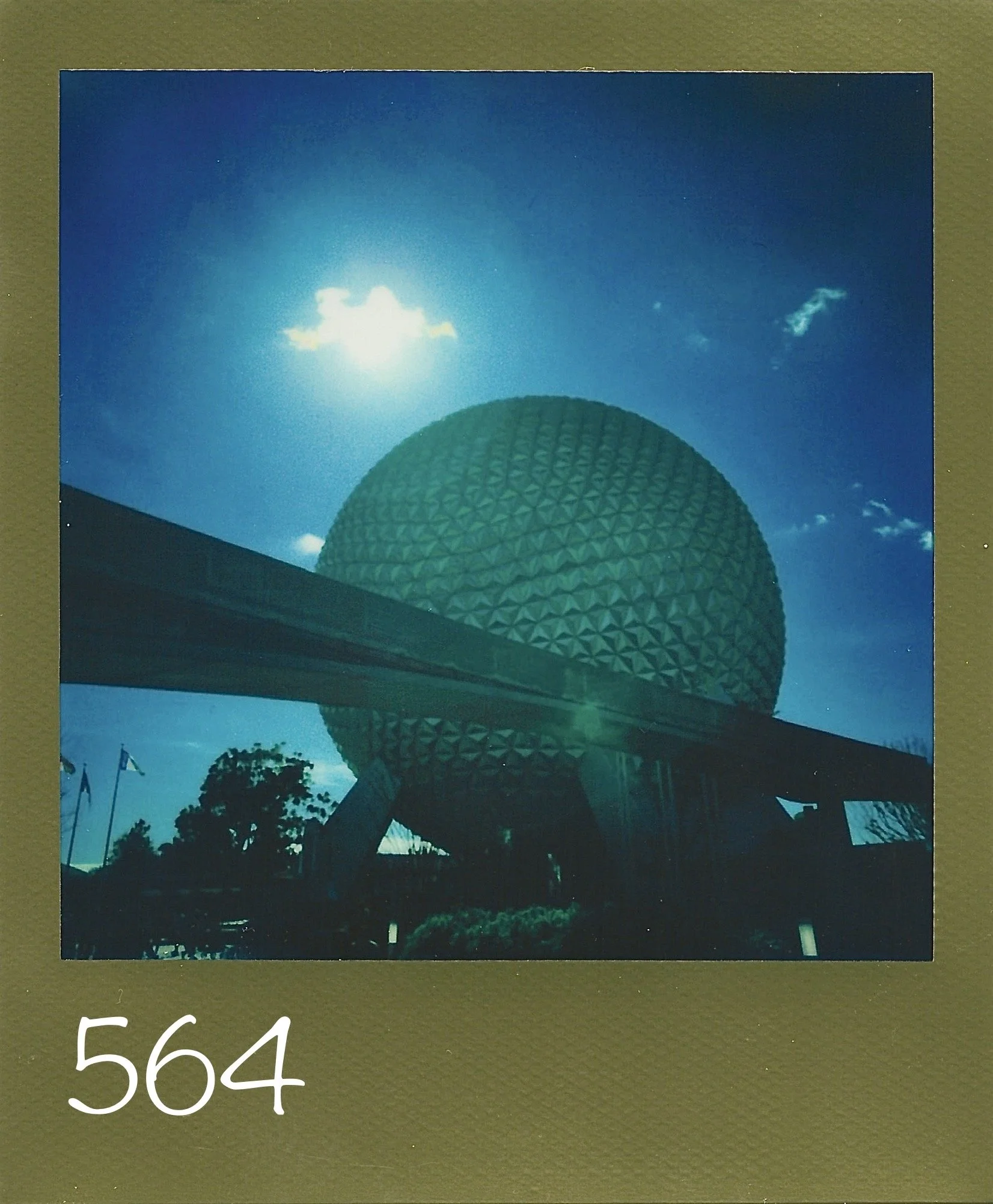 564.jpg