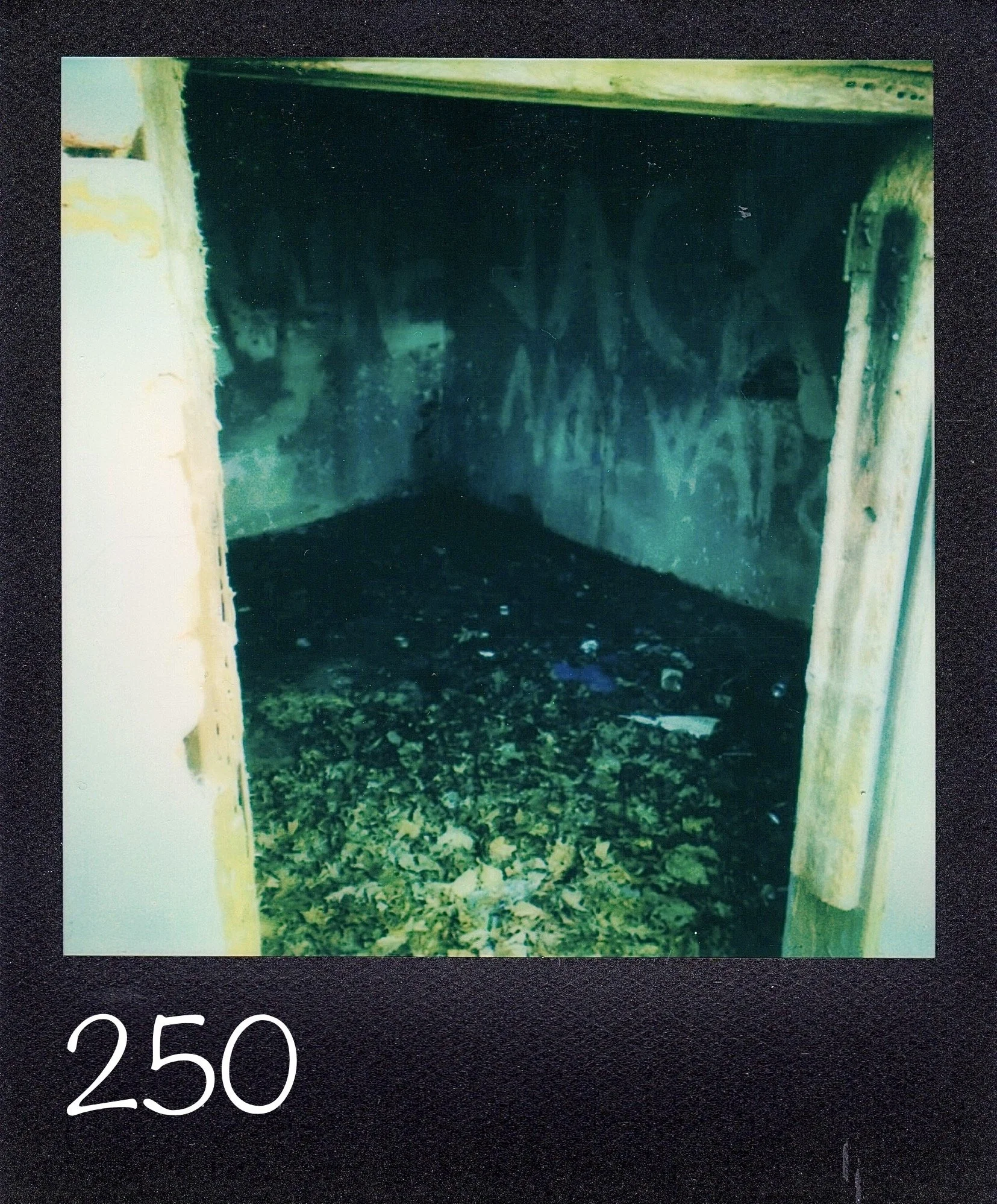 250.jpg