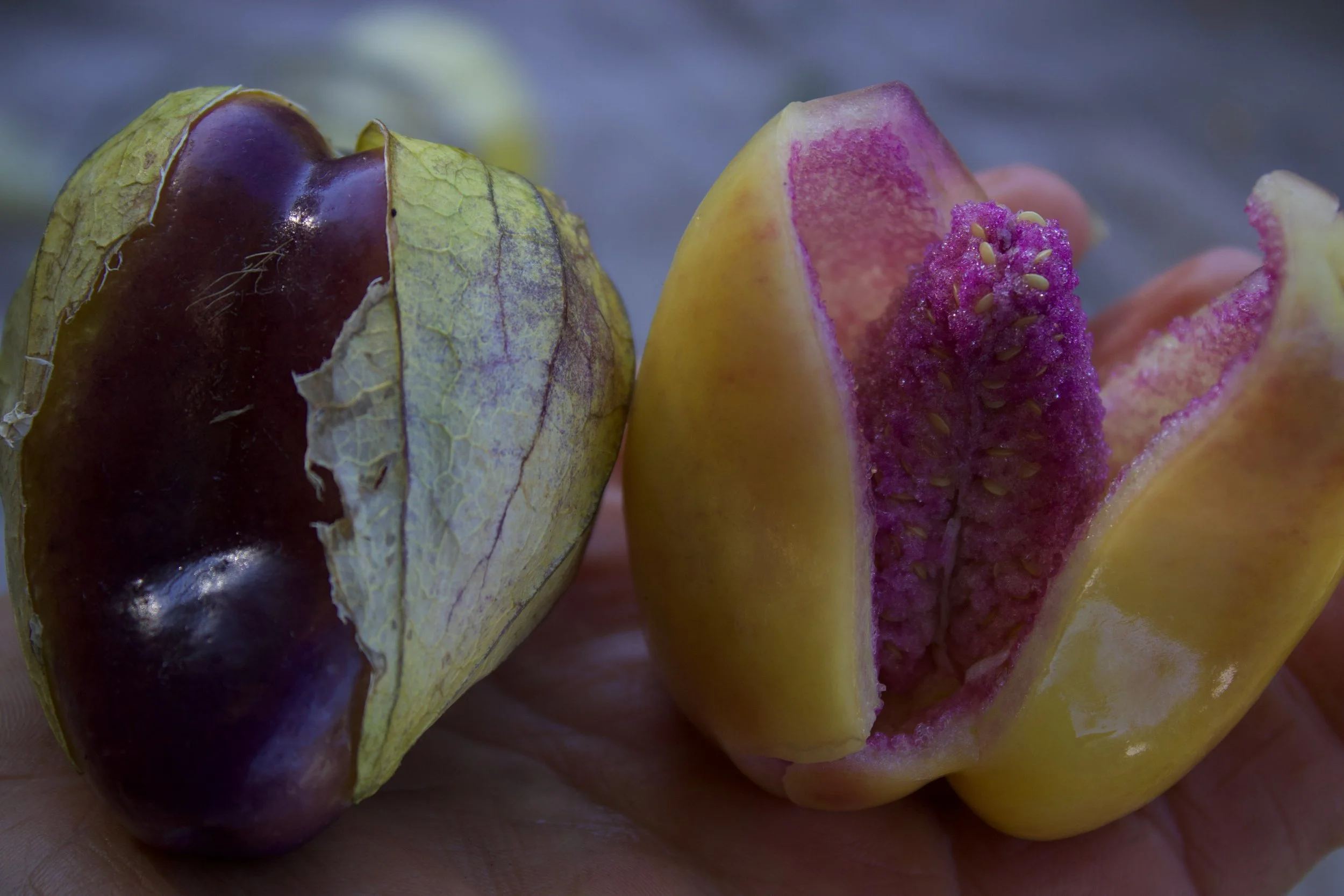 Shambhavi Tomatillo.jpeg