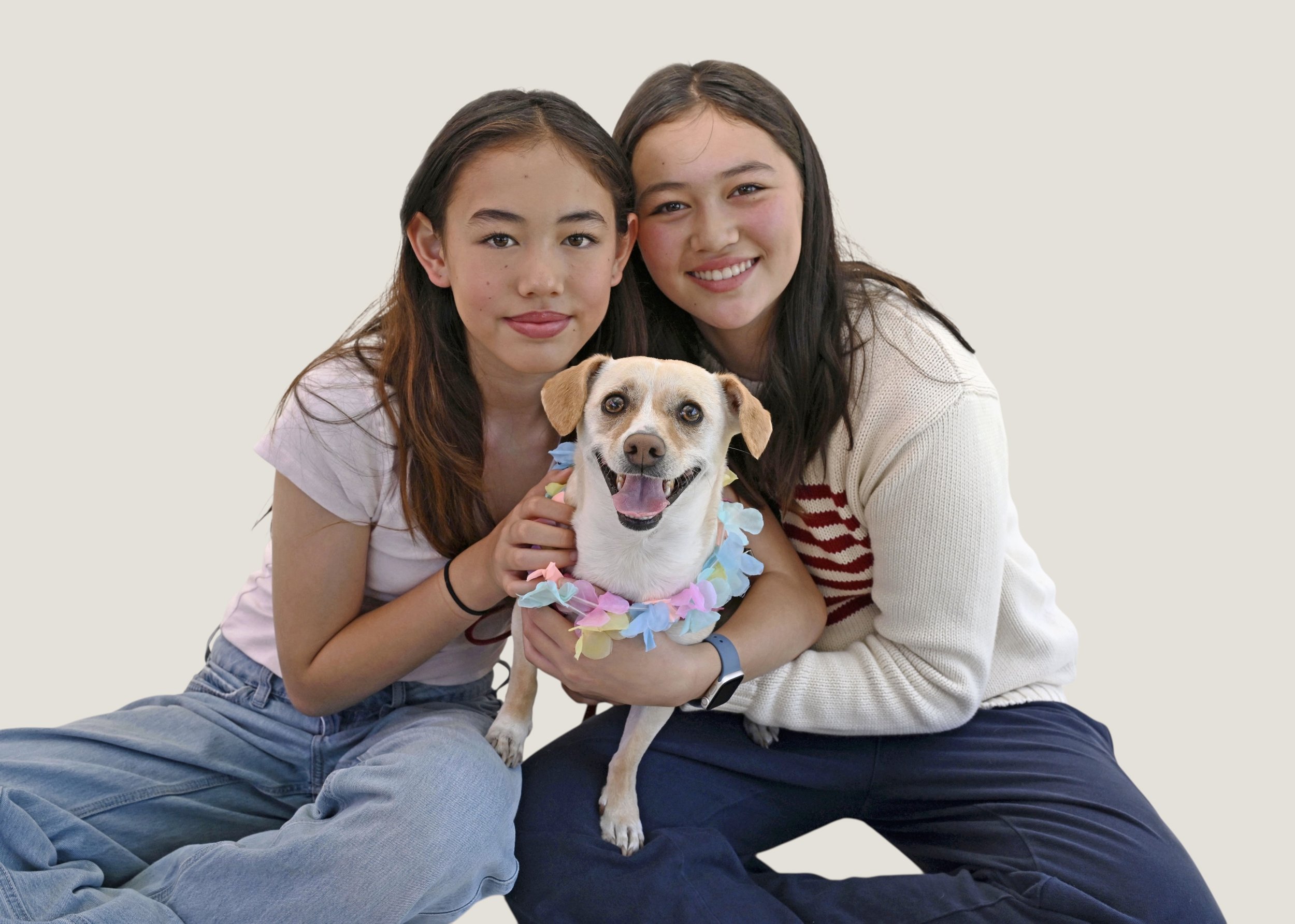 PAWtrait PAWty @ Bark at Spark - San Francisco