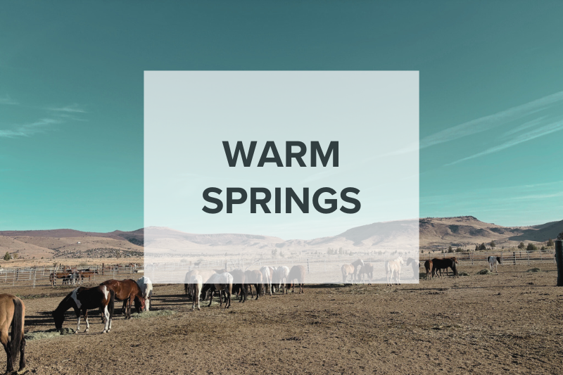 Warm Springs, Oregon IVO Program
