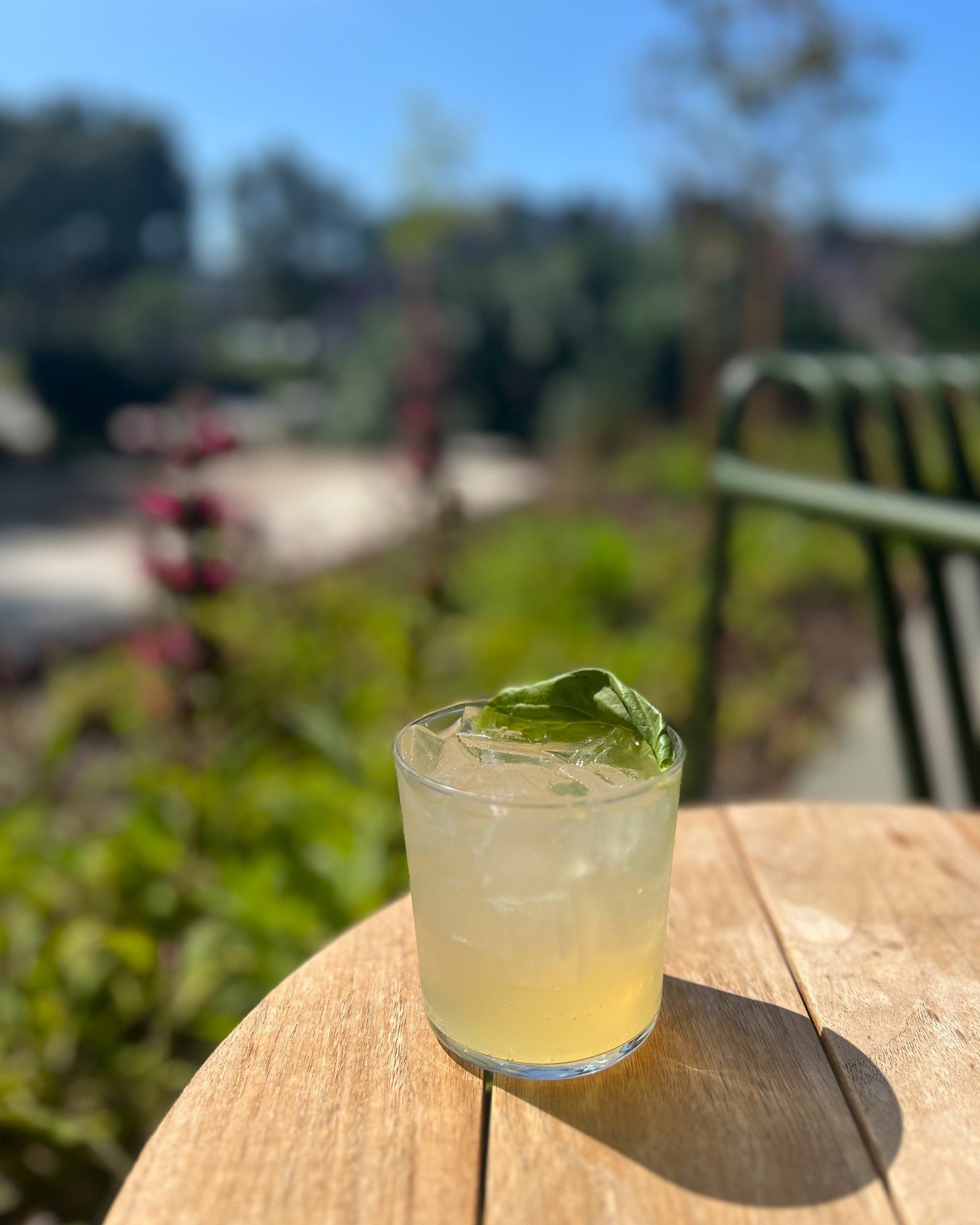 Sip on the perfect blend of sweet and fresh with our new spring cocktail, Lemonade Basil Breeze 🍋🌿 Enjoy every sip under the sun on our beautiful patio. It's the ultimate way to embrace the season in style.

#springcocktails #patio #happyhouronthep