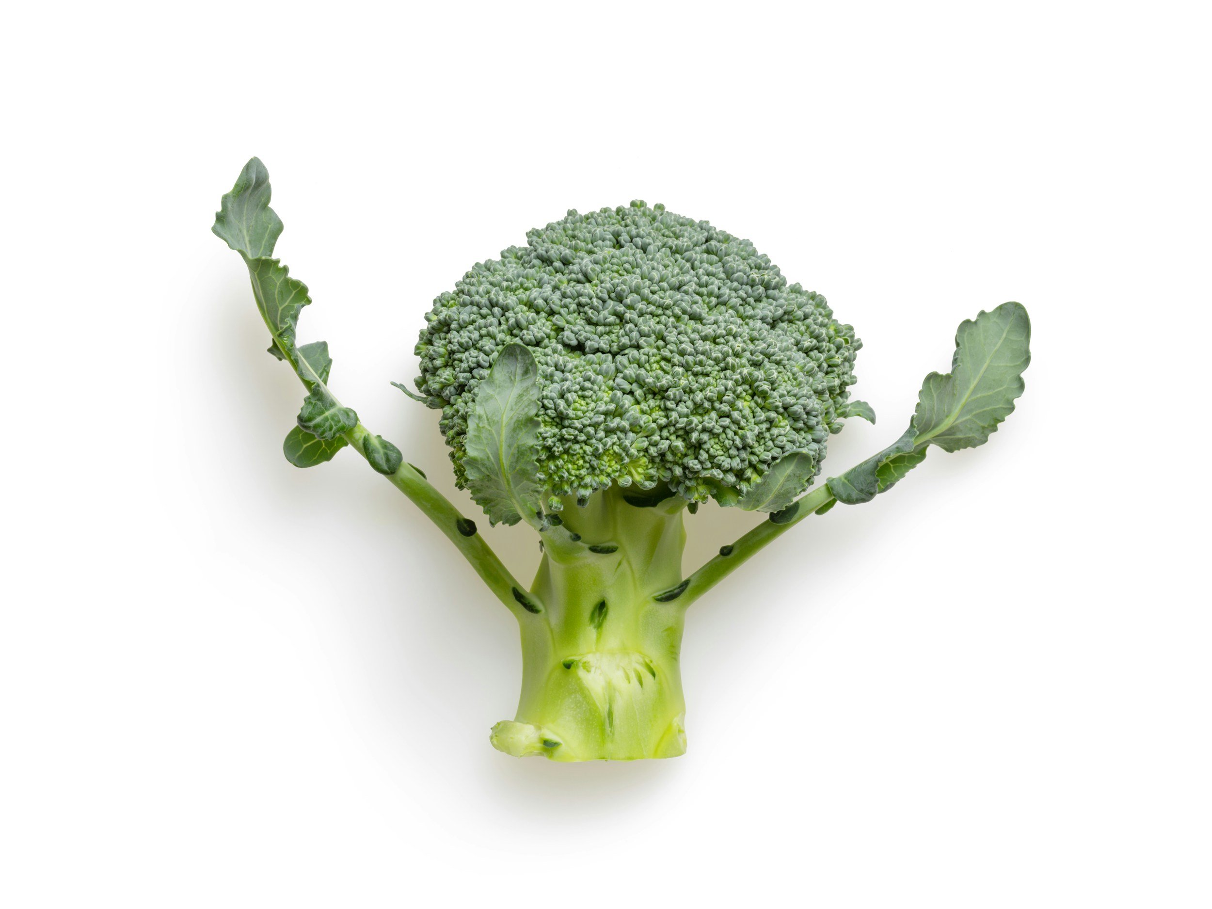 Feedback: The Writer's Broccoli (Good for You, Even When You Don't Fancy It)
