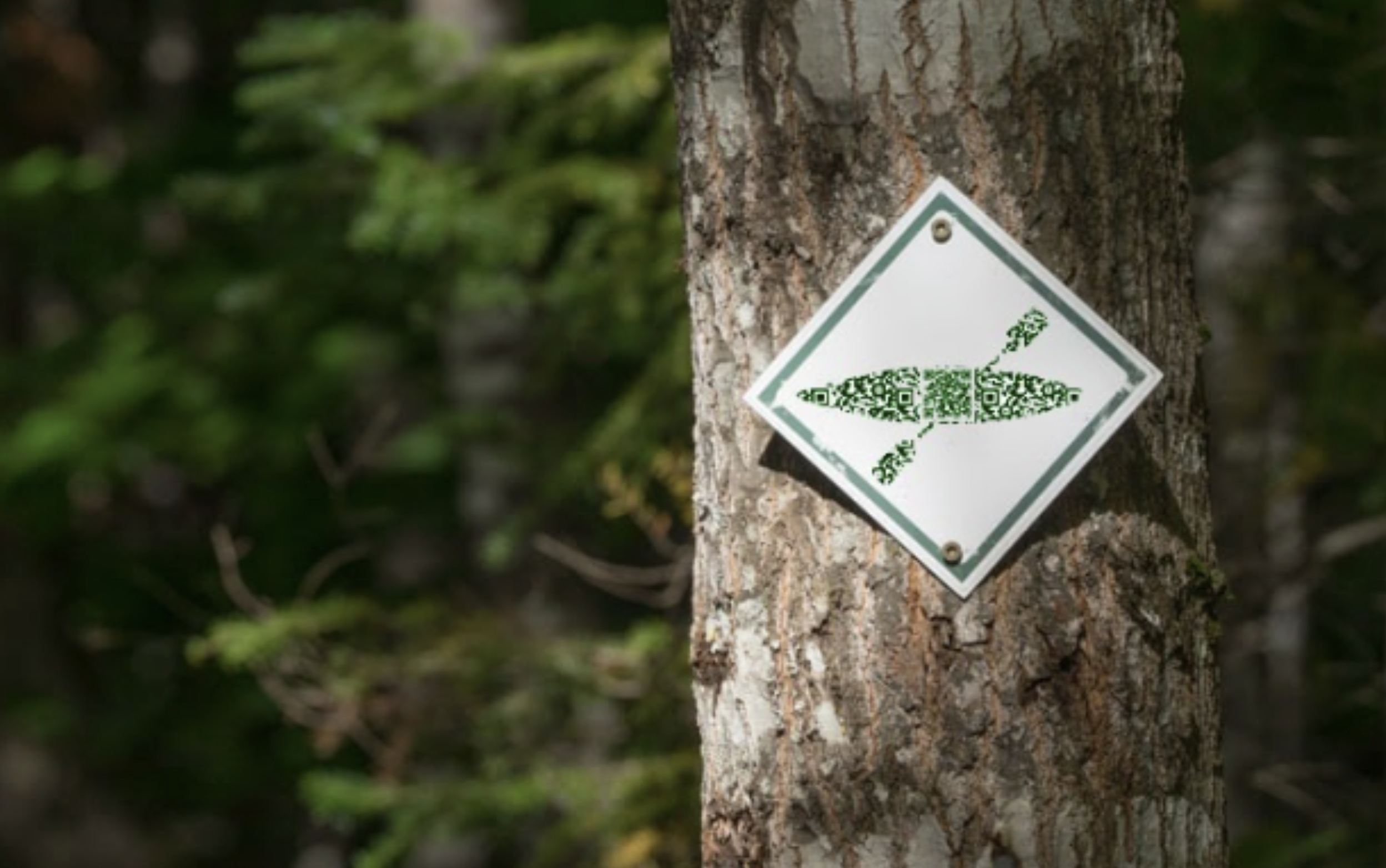 Screenshot 2026-03-08 at 12.14.47 PM.png