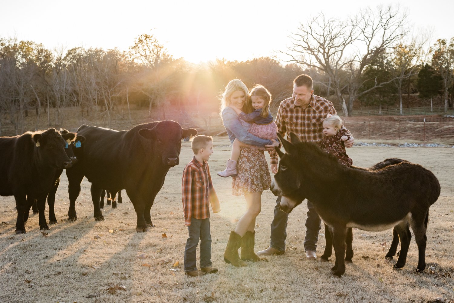 Natural light Oklahoma Family session on farm with cattle and donkeys