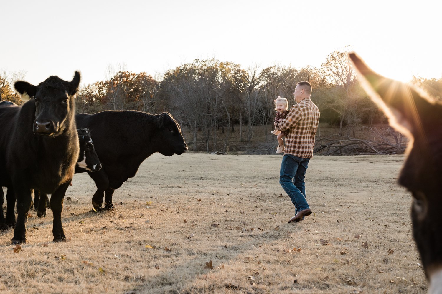 Father and daughter on farm with cattle in Oklahoma