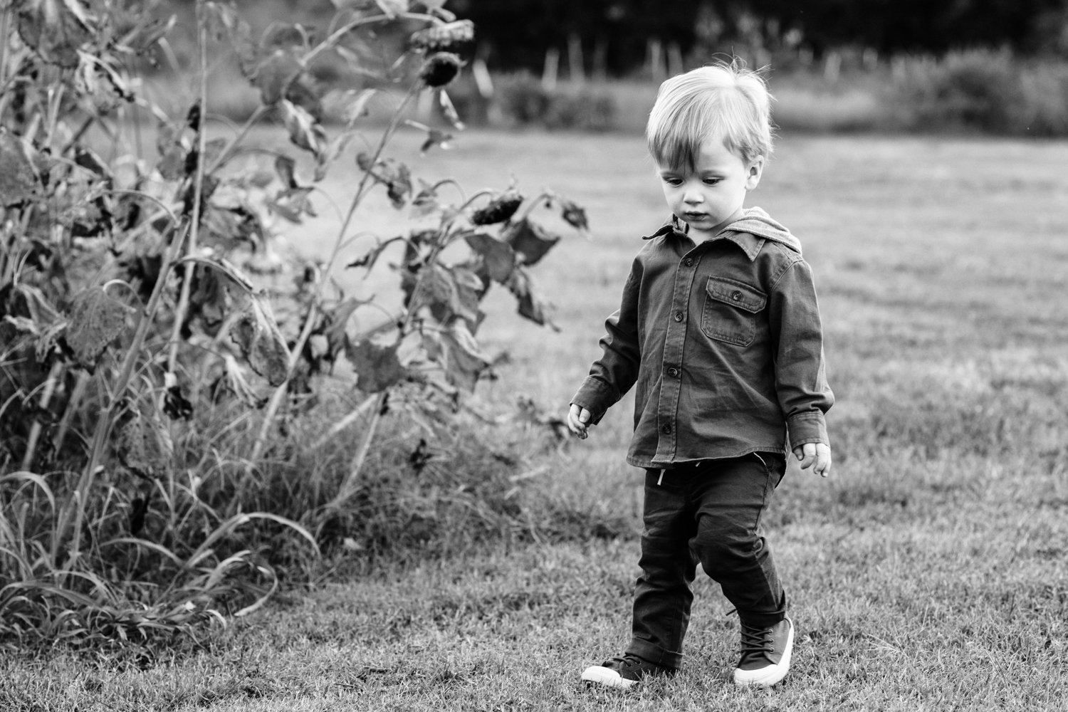 black and white boy walking photos