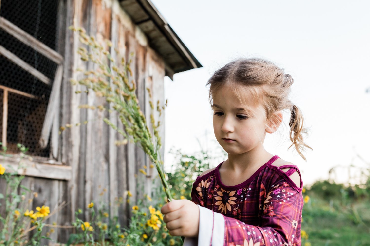 little girl holding corn stalk family photographer