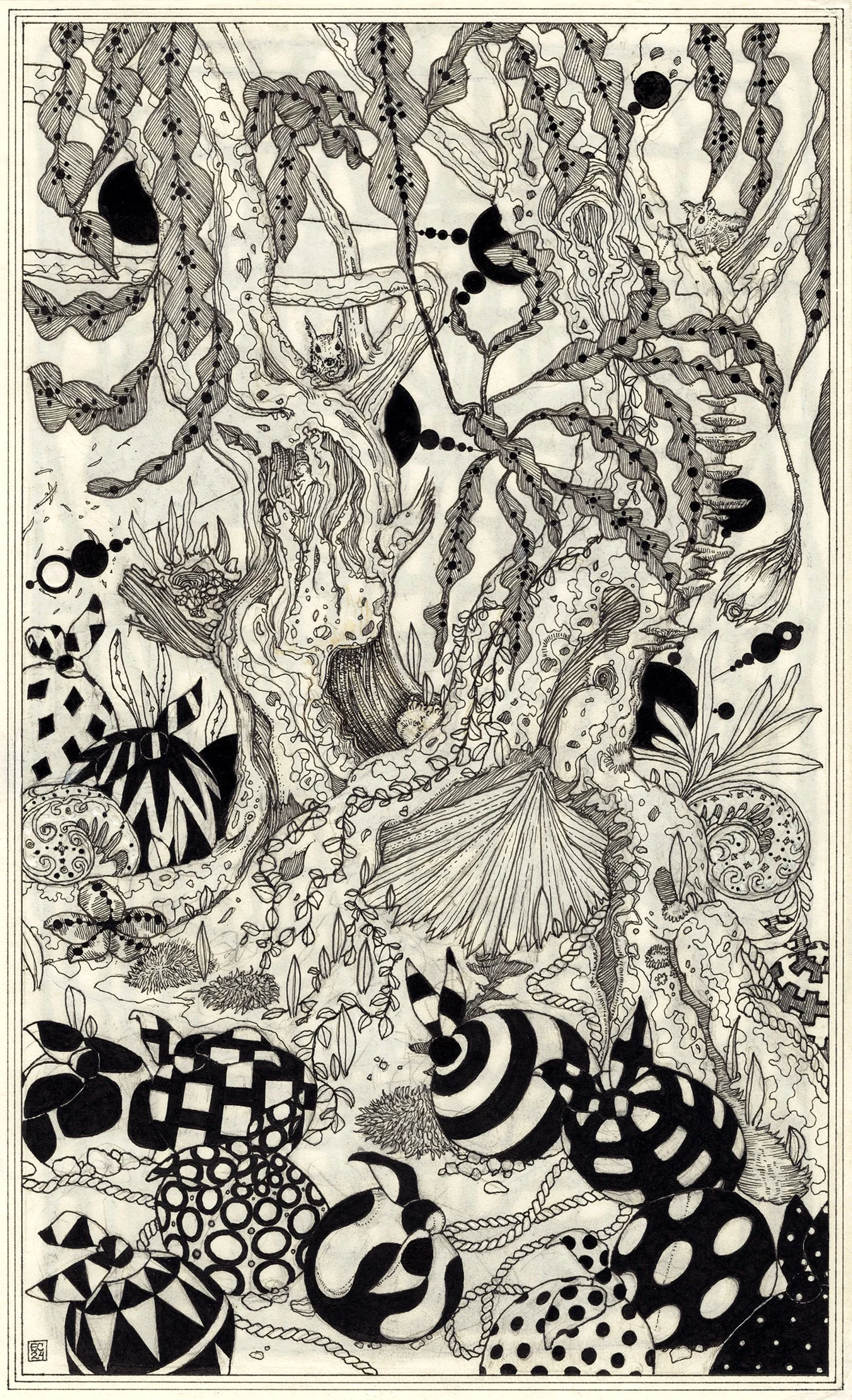 Arboreal Witnesses_Lighter.jpg