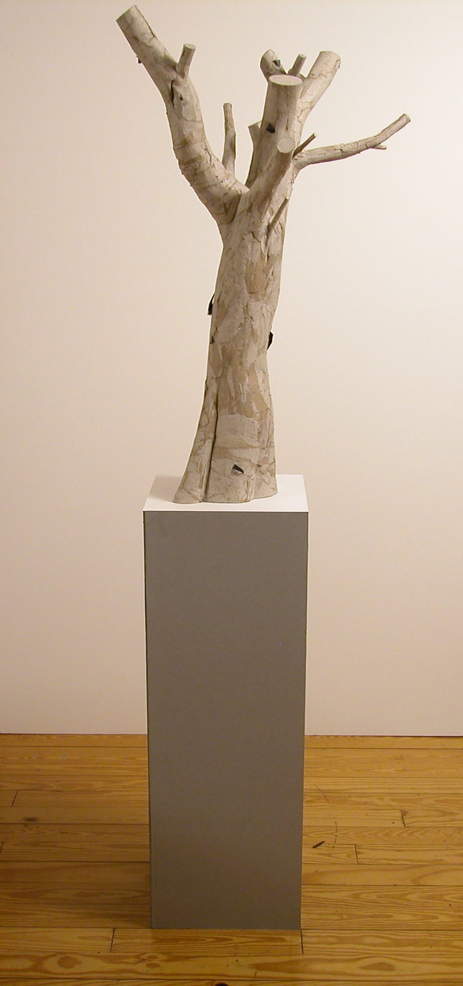 DSCN2046.JPG