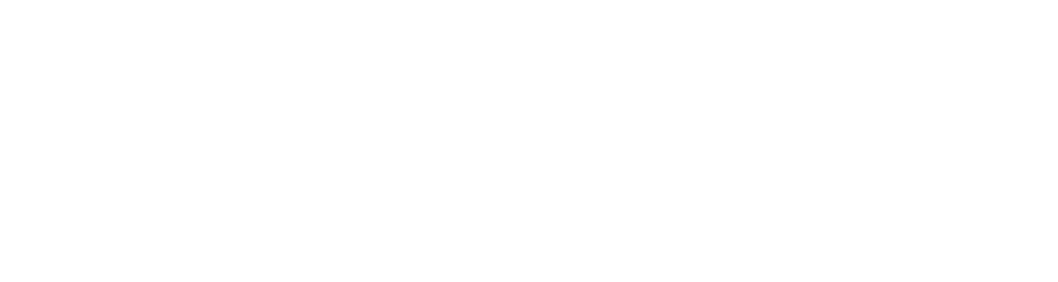 aapiNHV