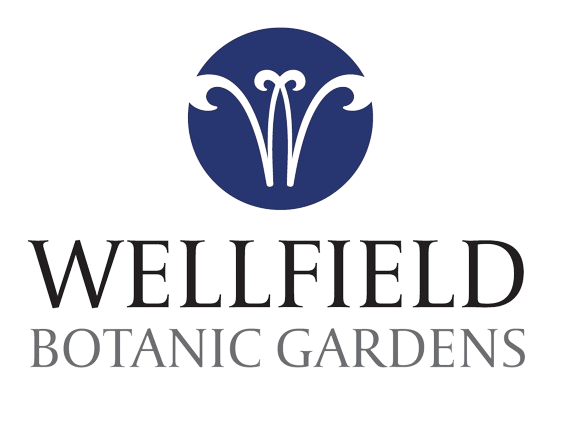 The Wellfield Project