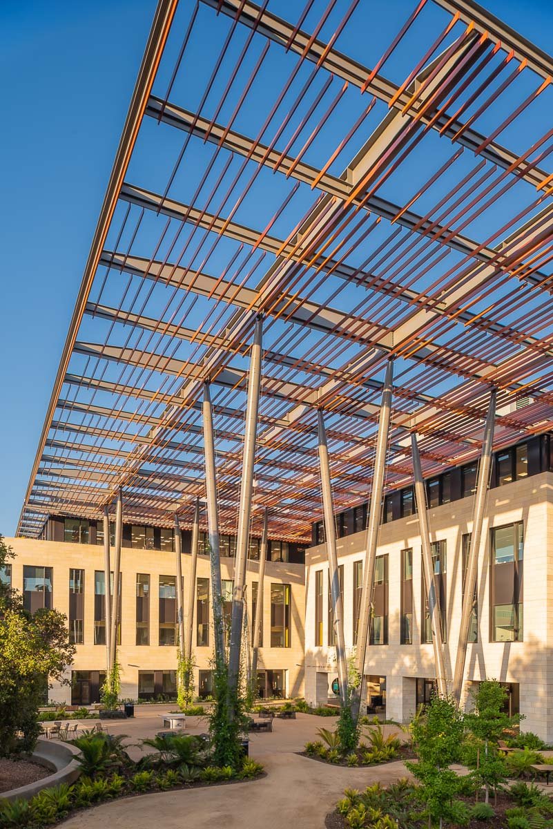 large metal canopy over a lush garden in front of a modern building