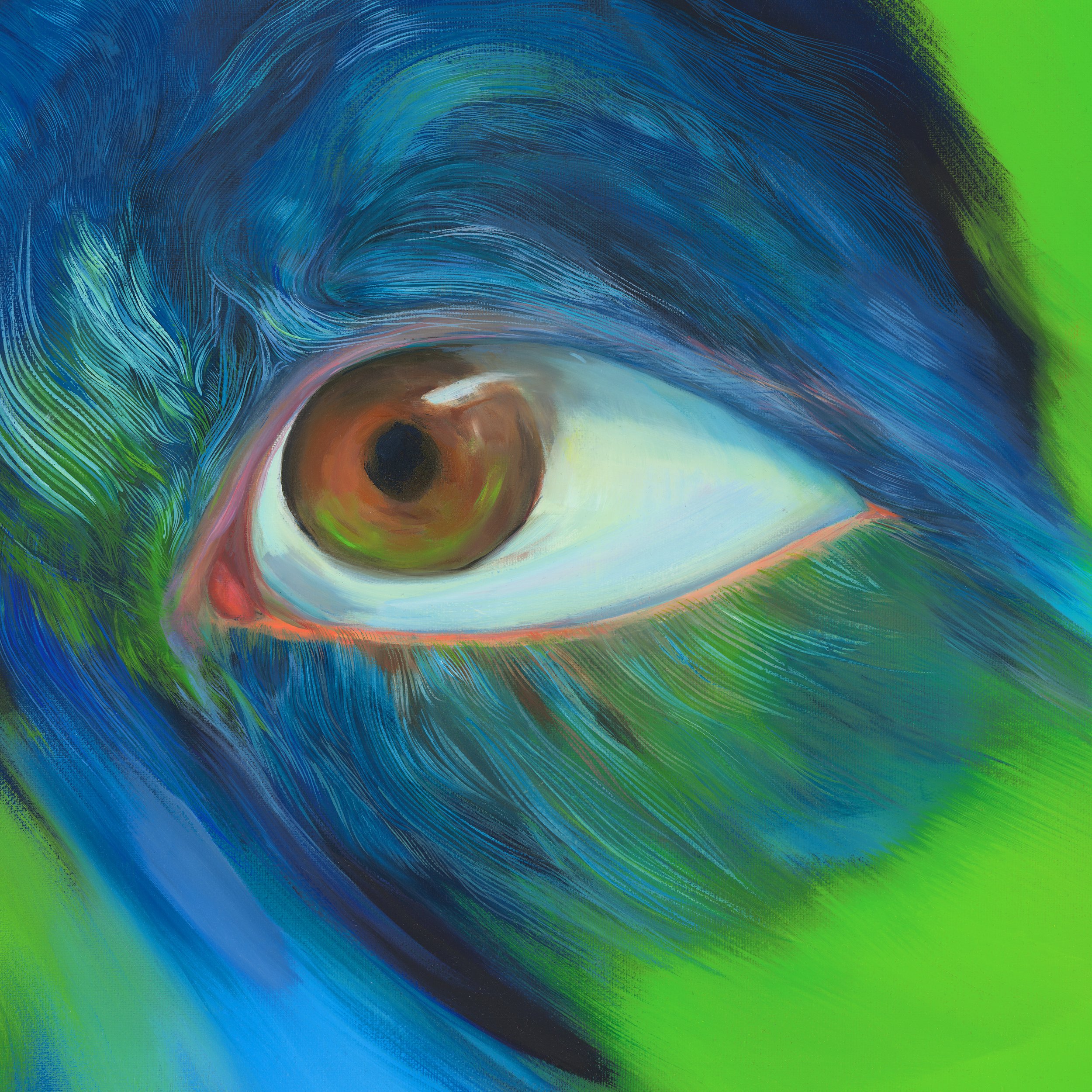 Wolfs Eye || by Shireen Qureshi - NYX Album Art
