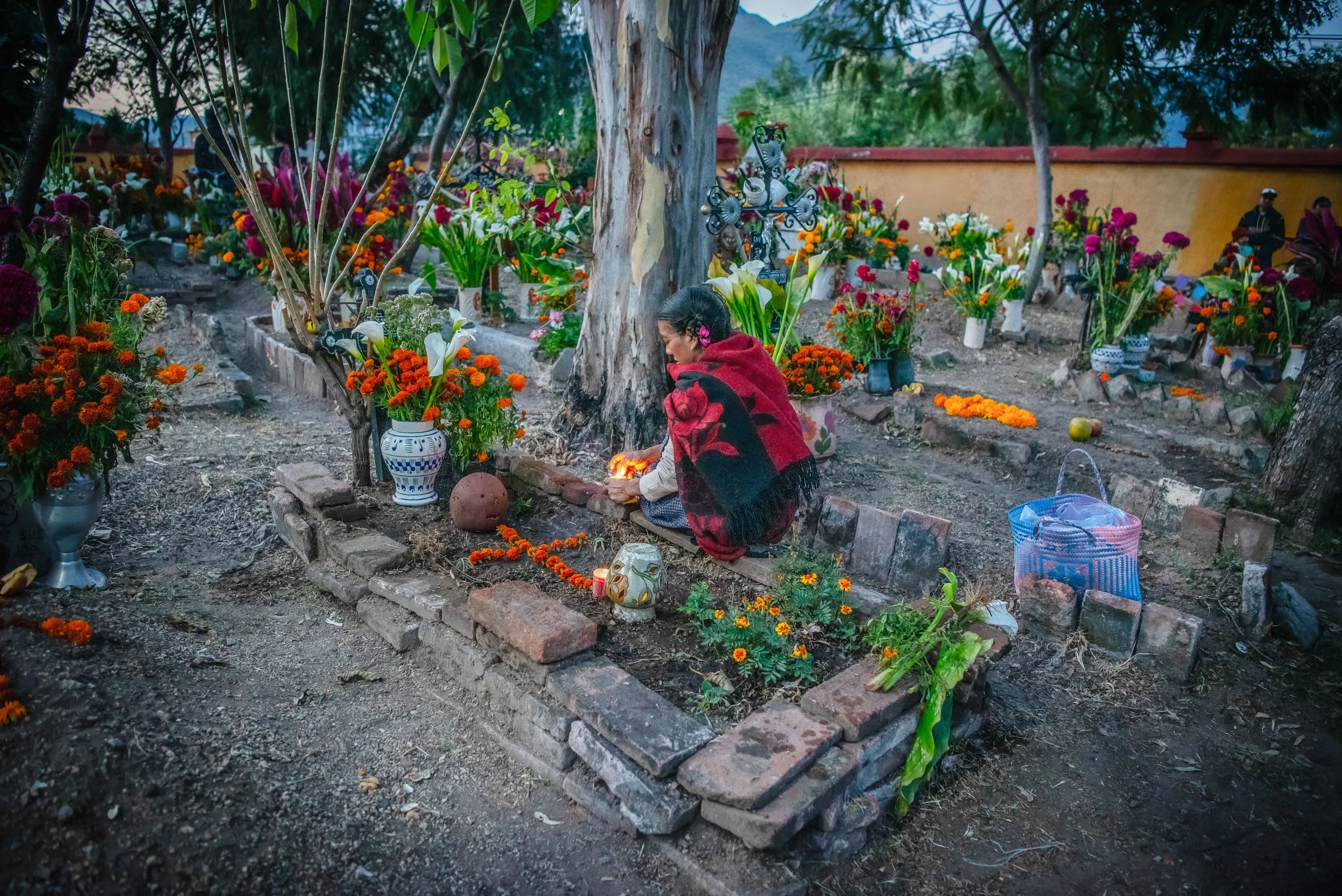 DSC_3340 copy-2LR.jpg