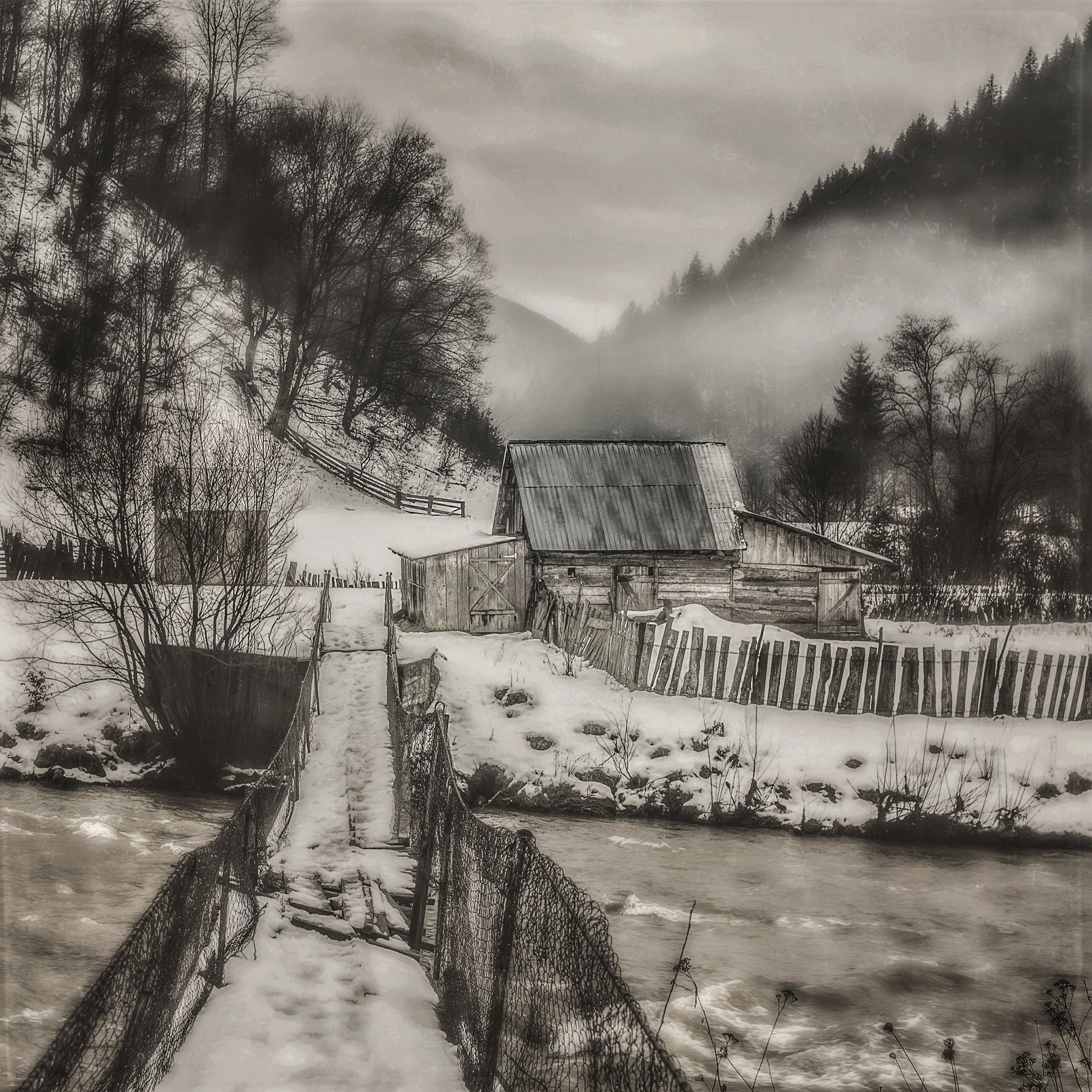 IMG_4171bwedit copy 2.jpg