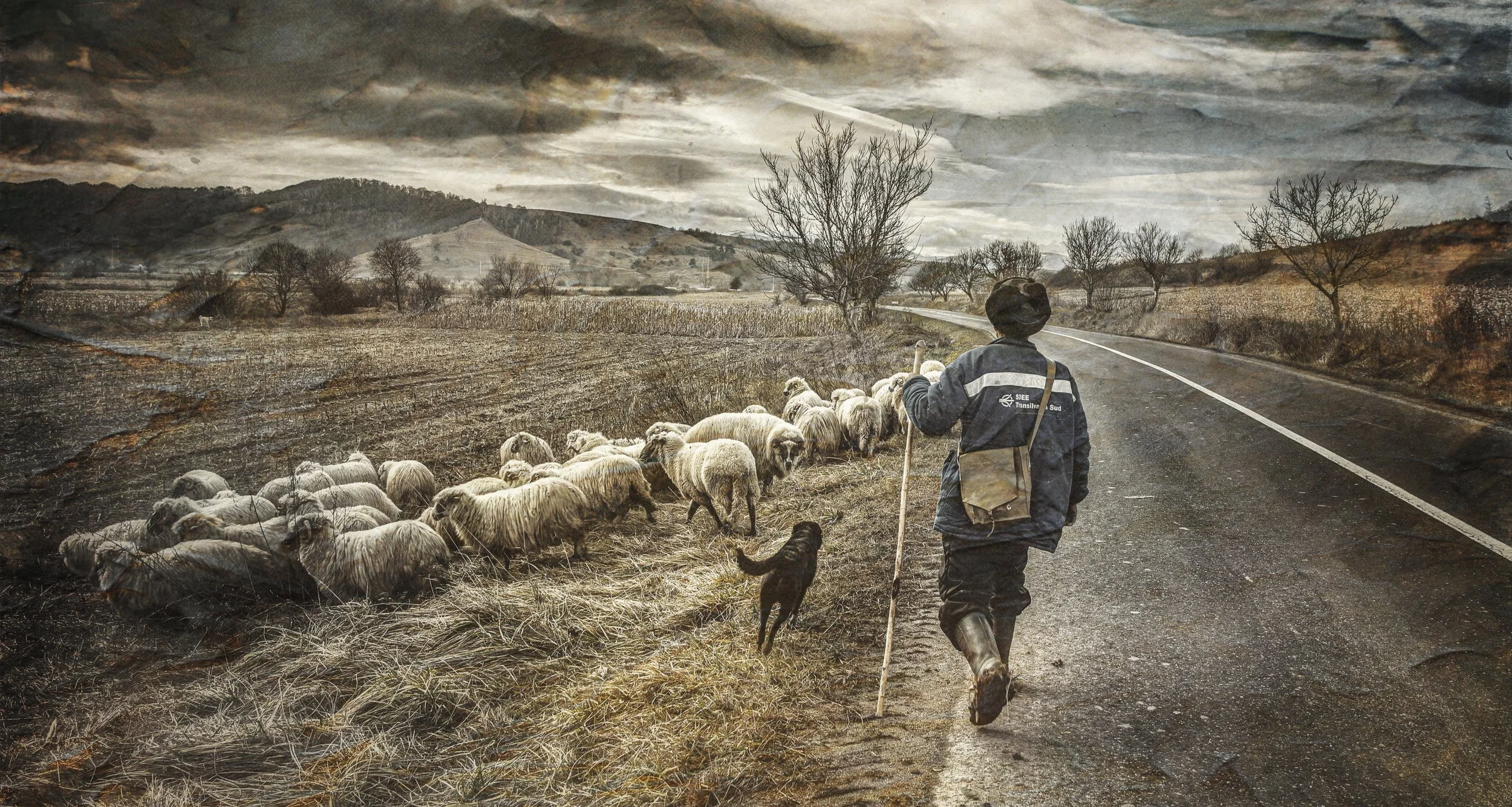 IMG_2821horz copy.jpg