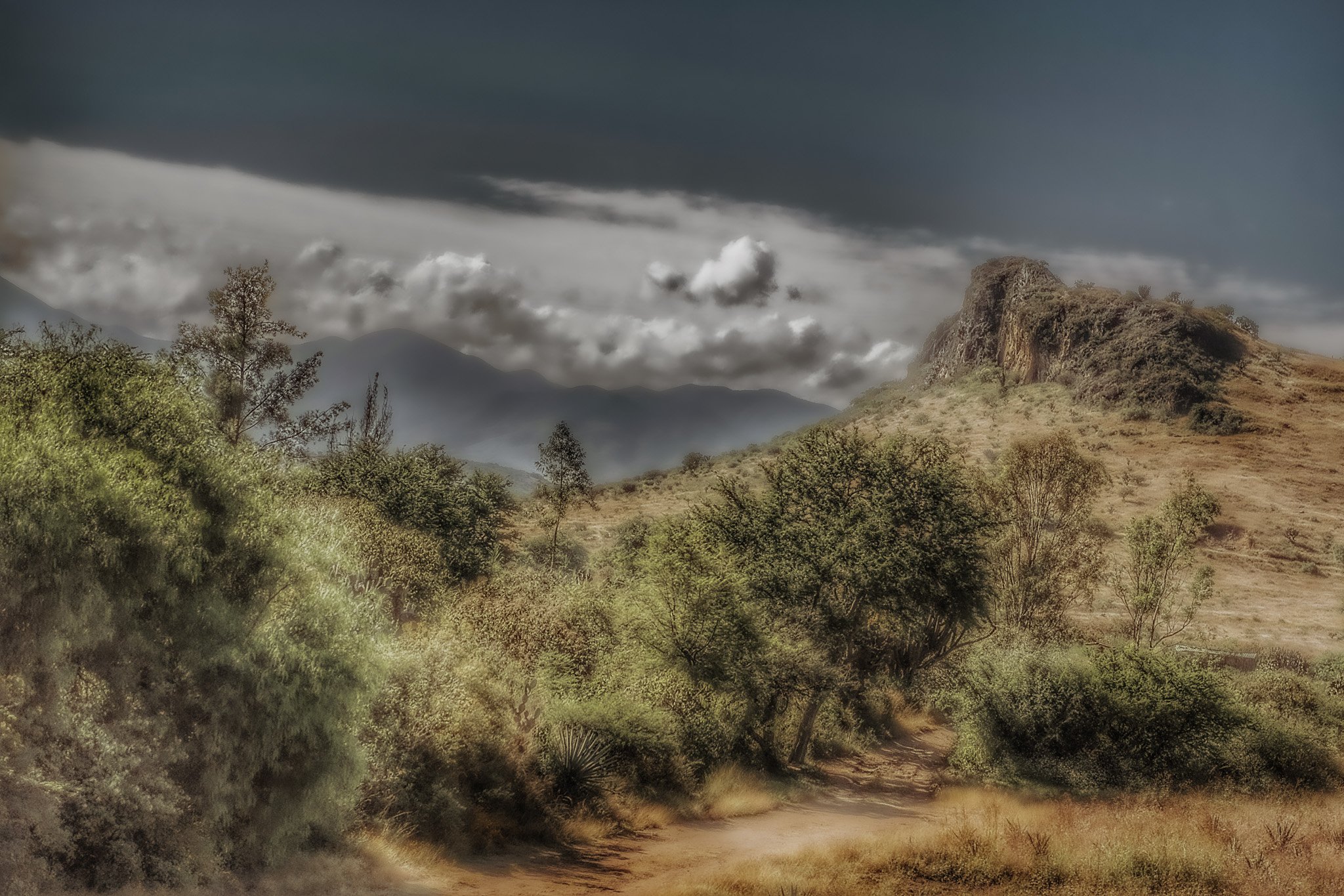 DSC_3764 copy 2-2.jpg