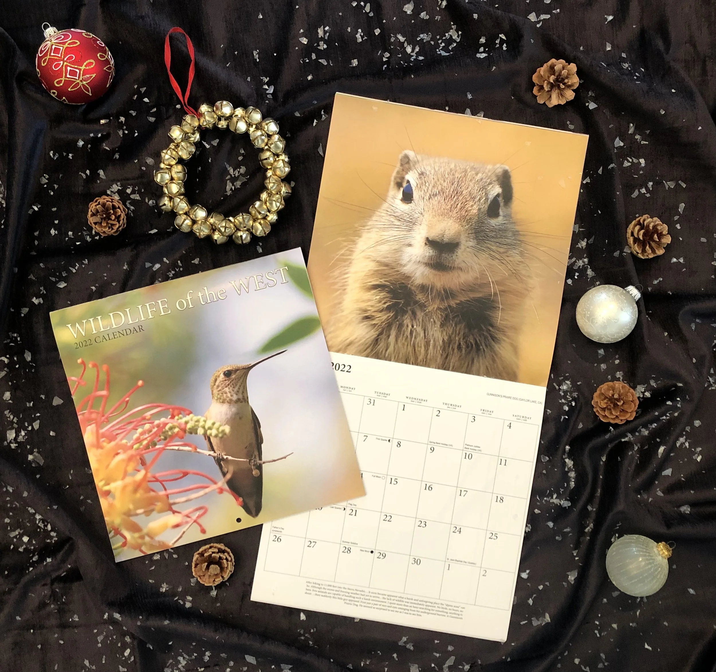 Wildlife of the West 2022 International Calendar