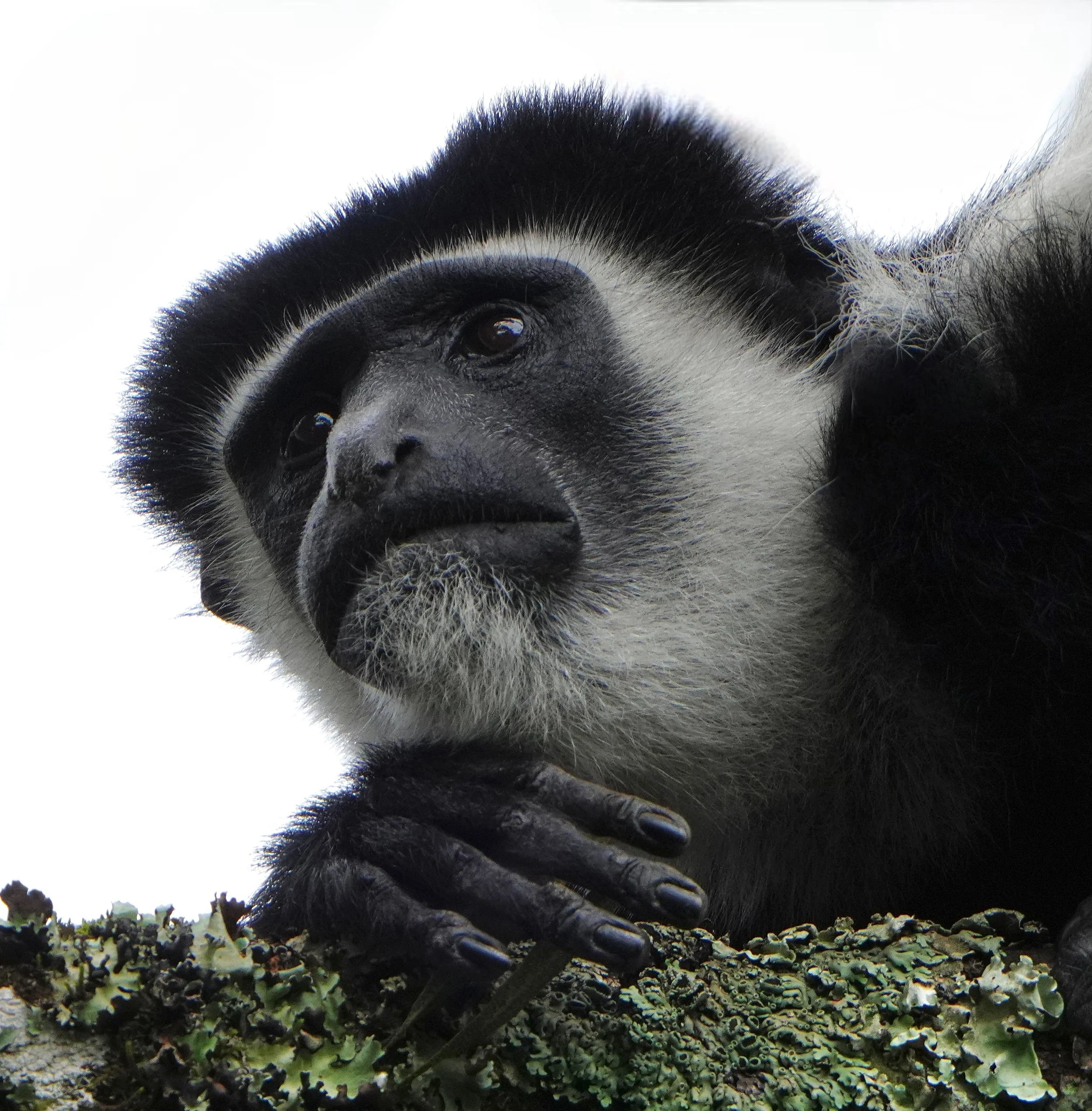 Bazaart_70EF3342-42C4-4901-873A-0F5904ADE47B 2.jpeg