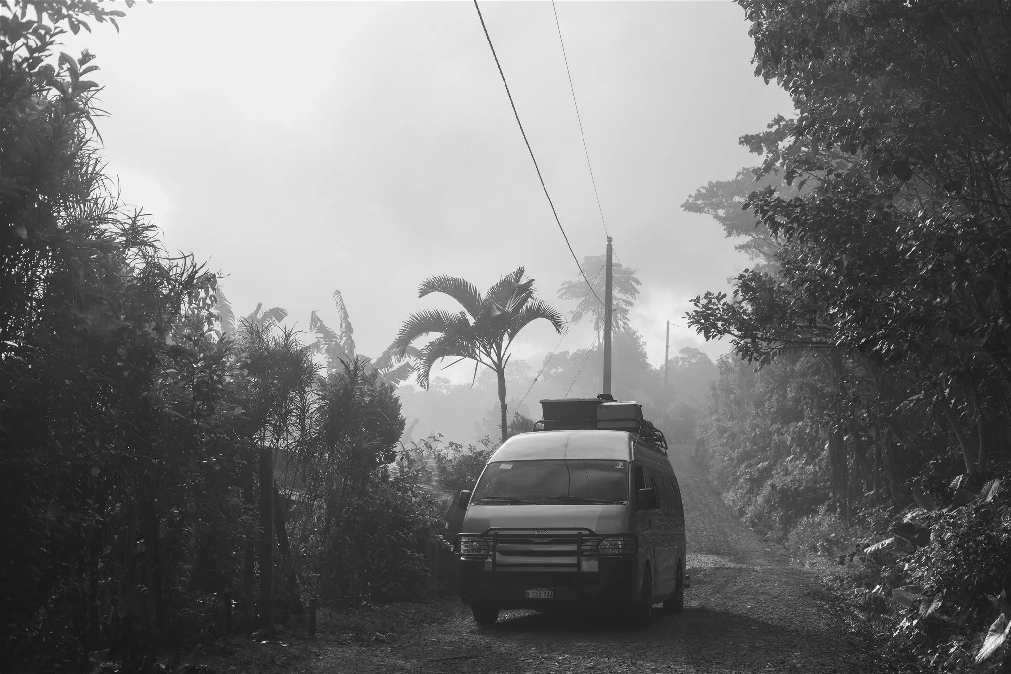 SM_012.jpg