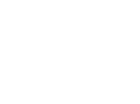Niels Tholen Photography