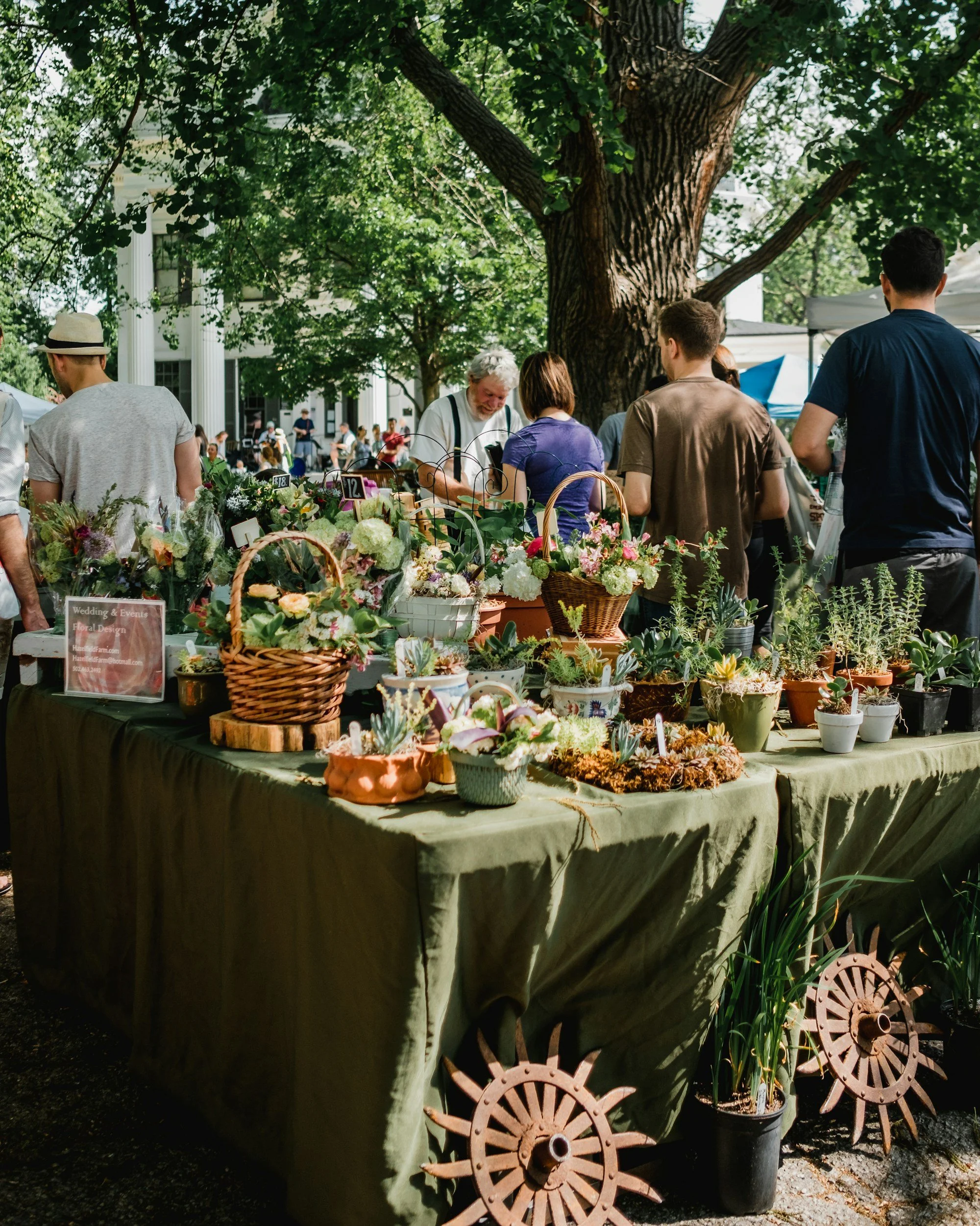 A Day in the Life: Experiencing the Farmer’s Markets Near Shibby RV Living