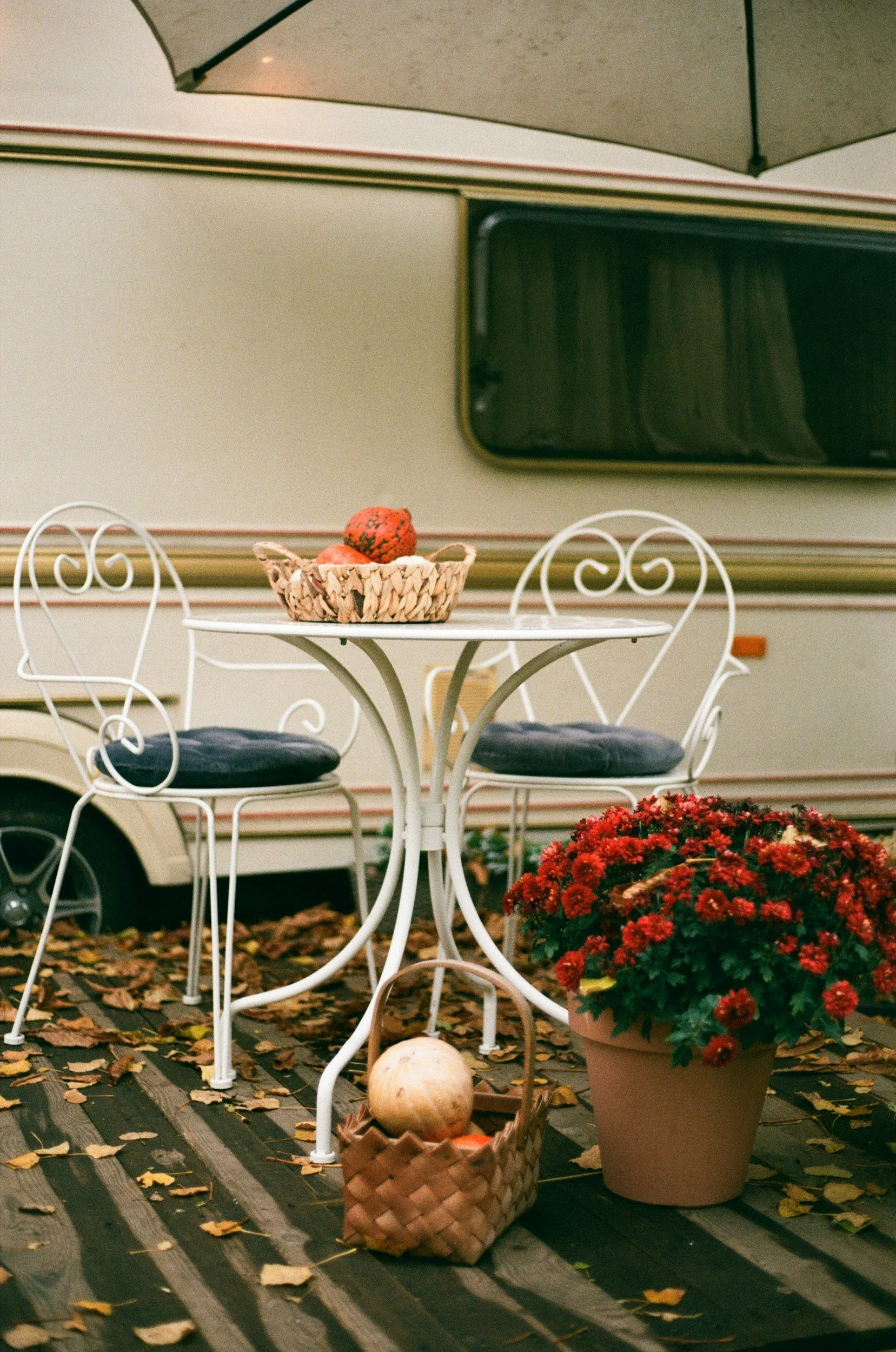 RVing on a Budget: Affordable Adventures in South Carolina