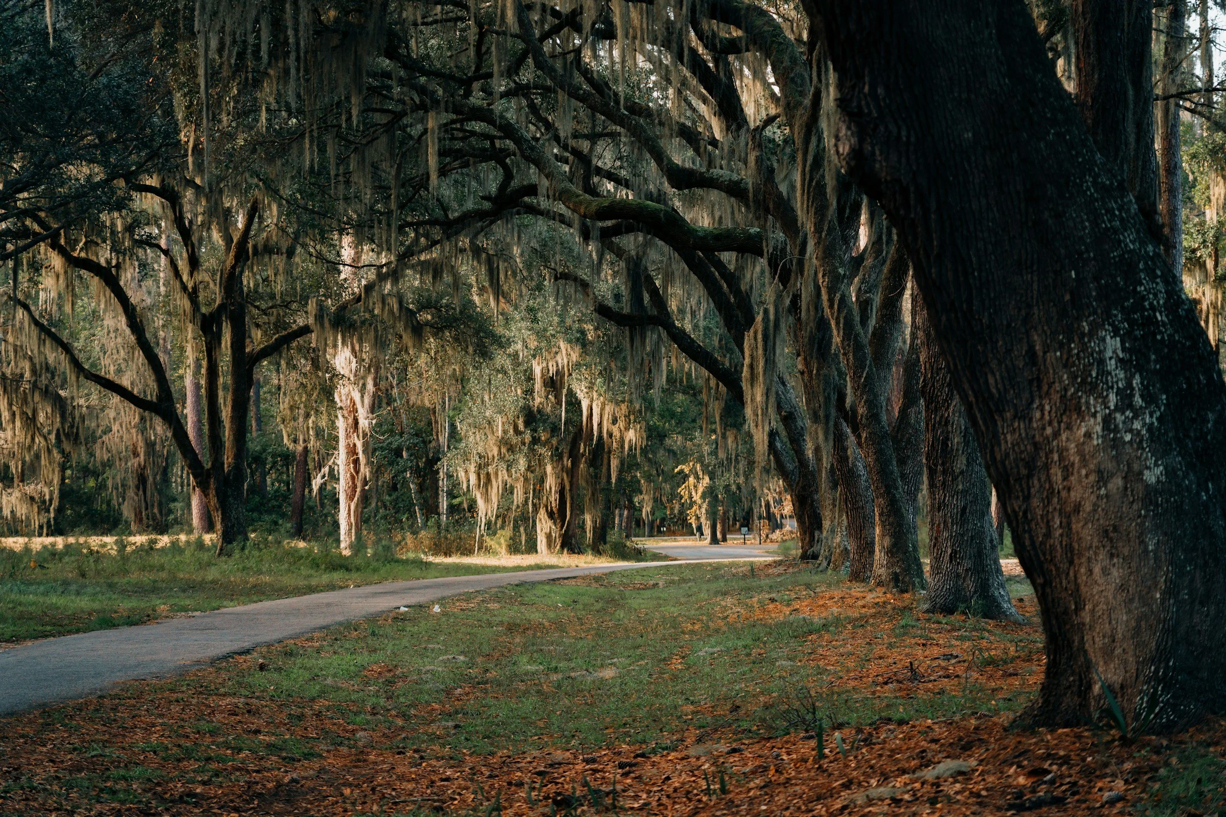 Hidden Gems: Exploring Off-the-Beaten-Path Destinations in South Carolina from Your RV Park
