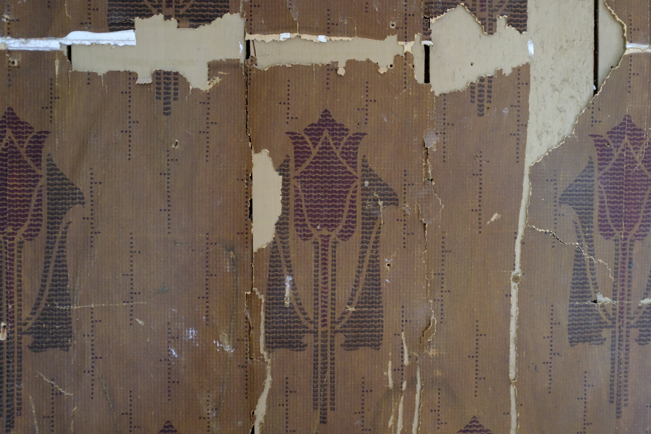 DSCF9418.jpg