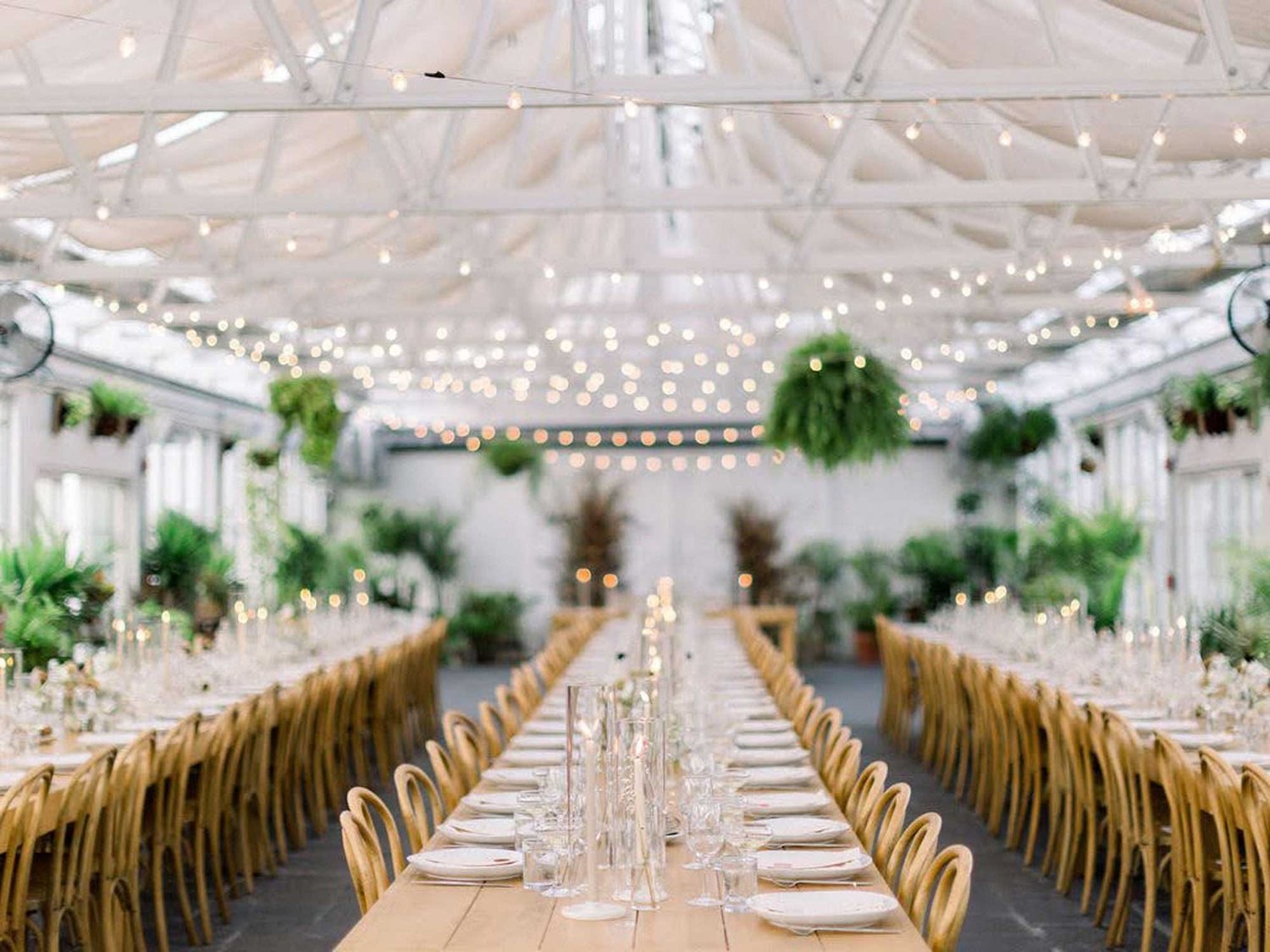 Audrey's Farmhouse