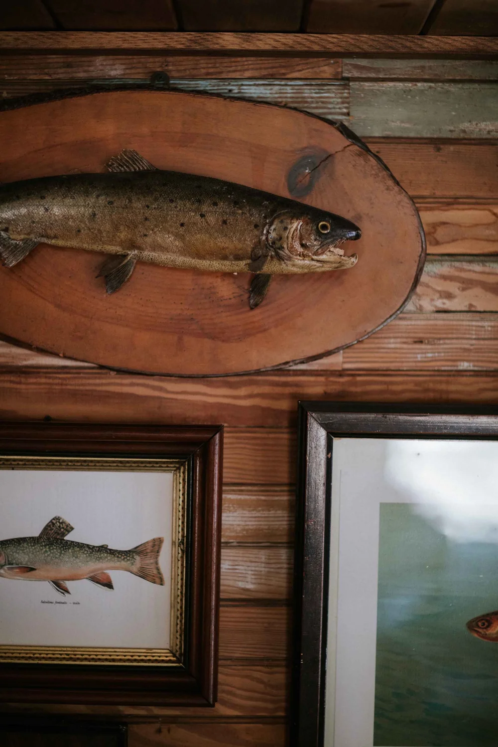 Photoshoots Livingston Manor Fly Fishing Club