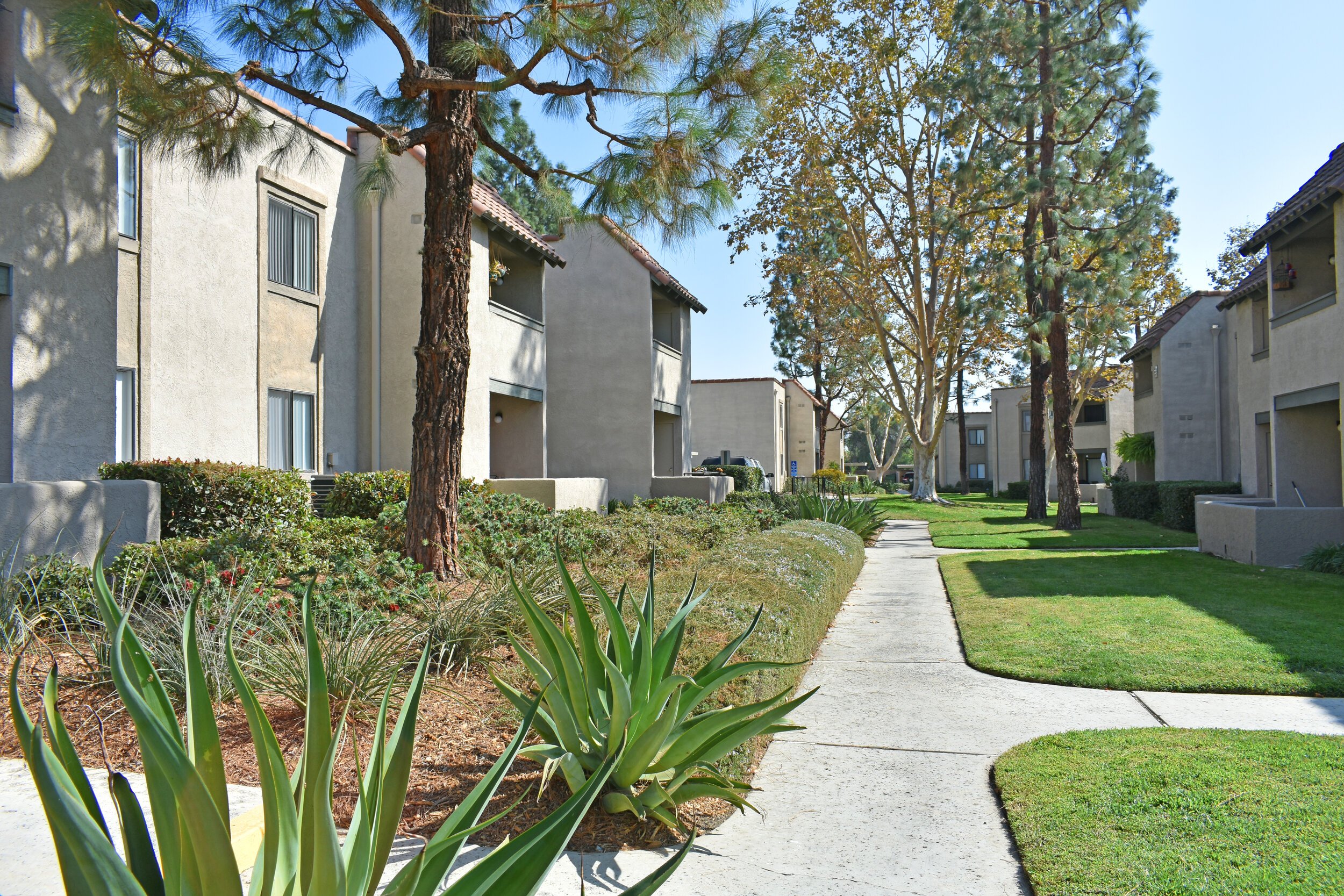 AVENTINE APARTMENT HOMES