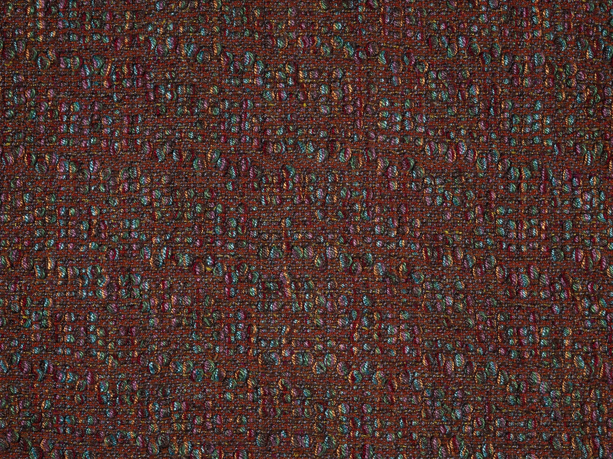 fungusravemacros-53.jpg