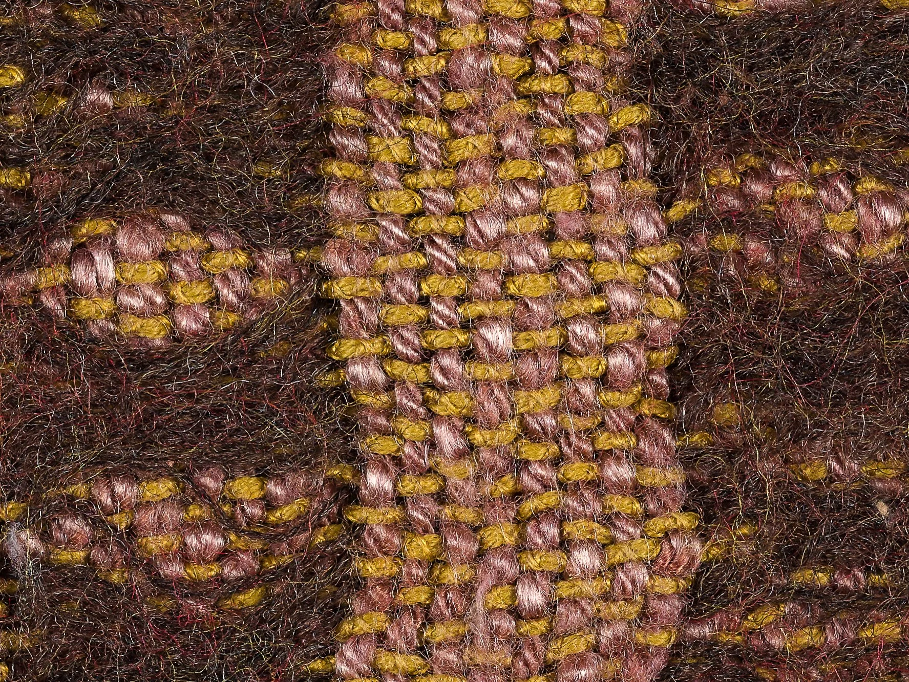 fungusravemacros-22.jpg