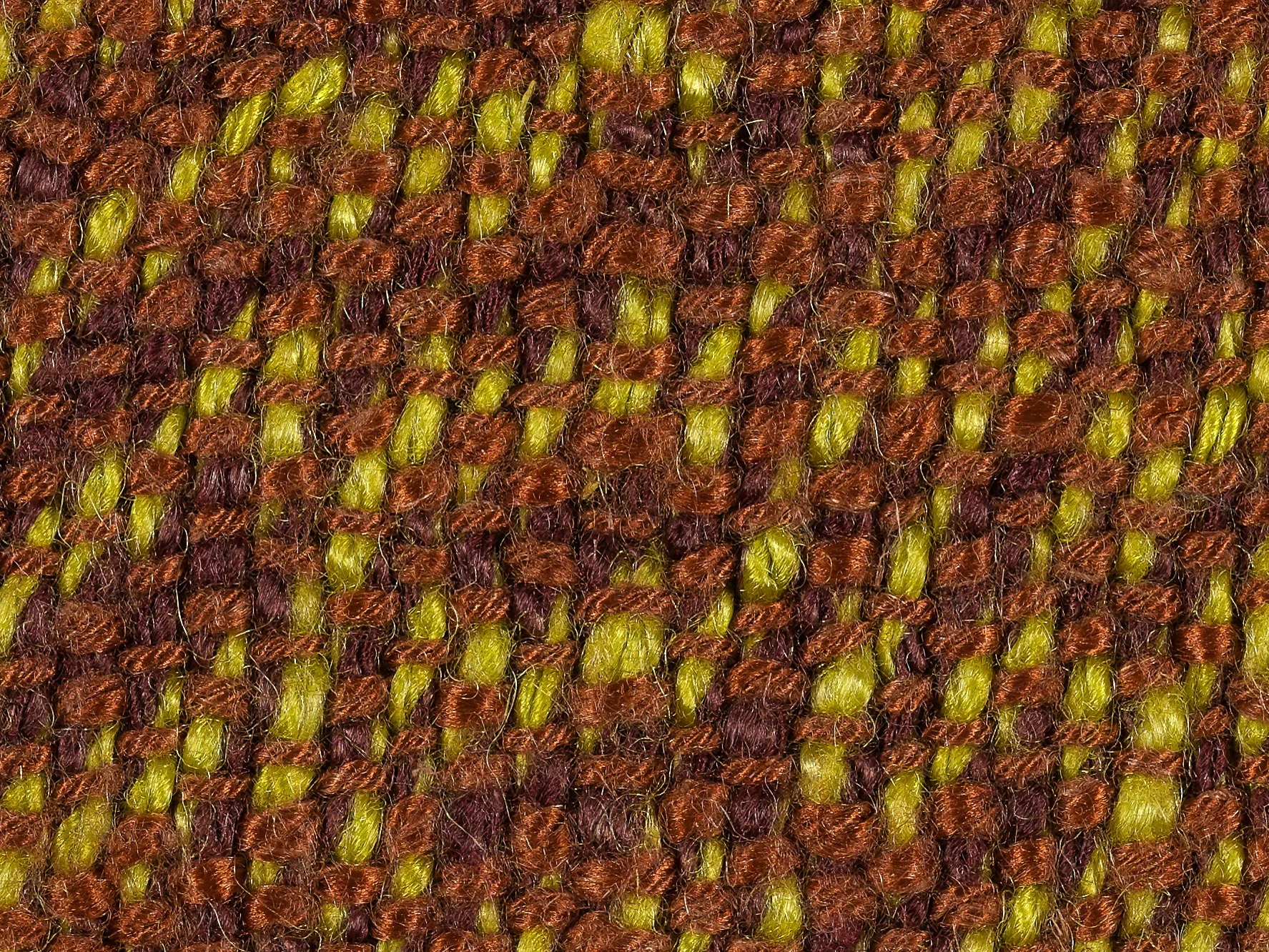 fungusravemacros-02.jpg