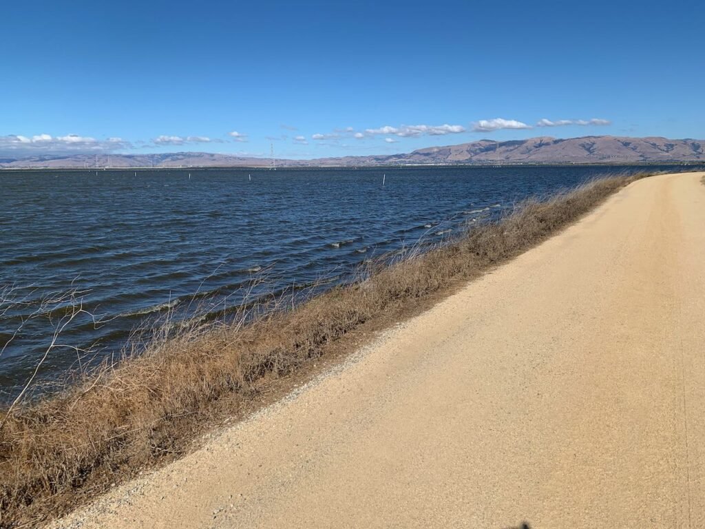  Some found the bit of gravel along the Bay Trail on the 40 mile ride challenging and others found it exhilarating. All found the views beautiful and most explored bike routes they had never tried before. 
