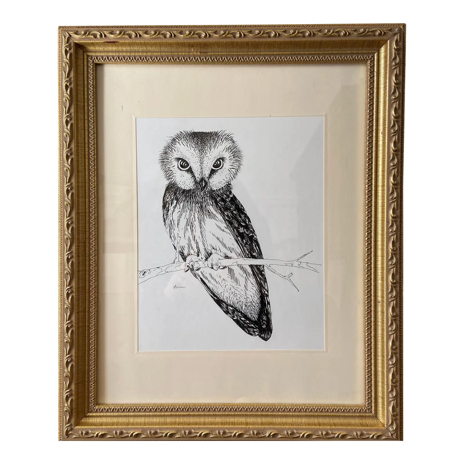 Messenger Owl