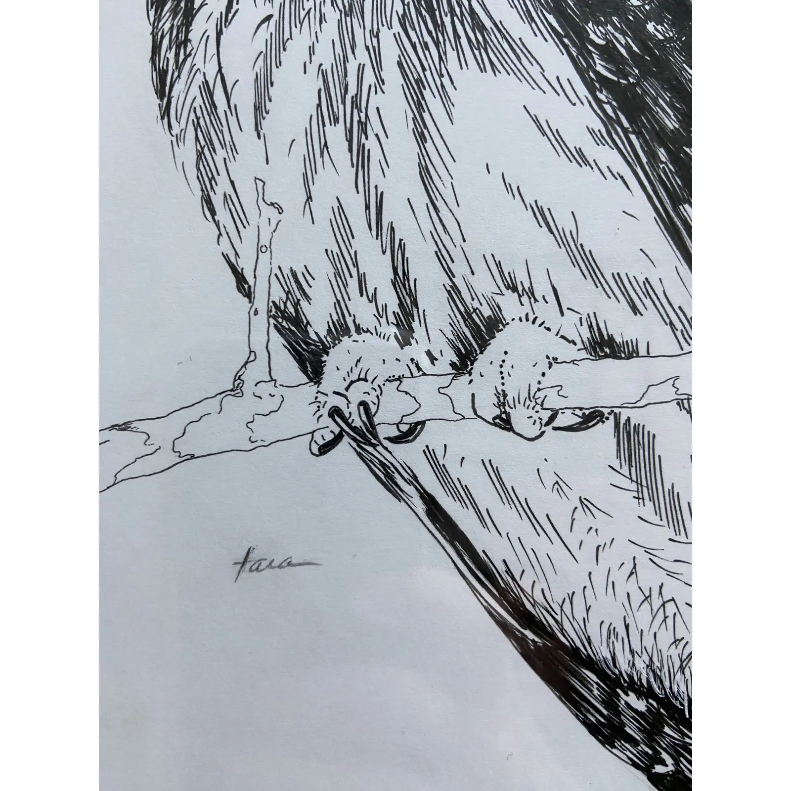 messenger-owl-framed-original-drawing-8914.png